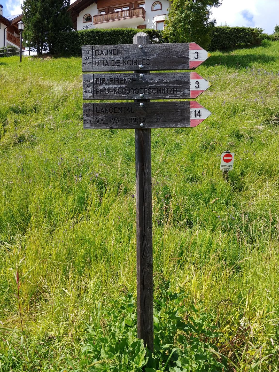 Street view near Silva, Selva
