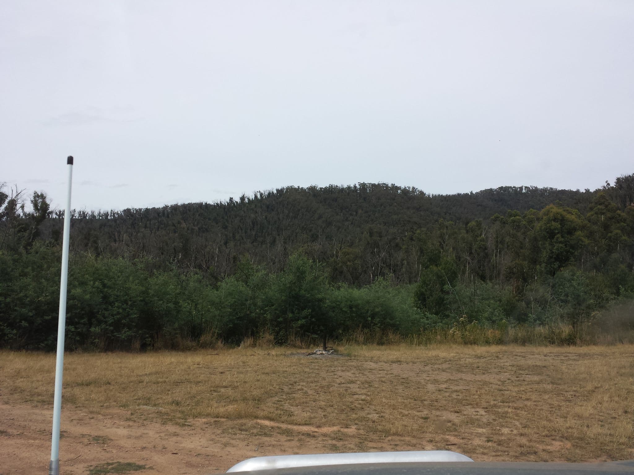Street view near Merringtons Flat Camping Area, Heyfield — © stev391 (CC BY-SA · Mapillary)