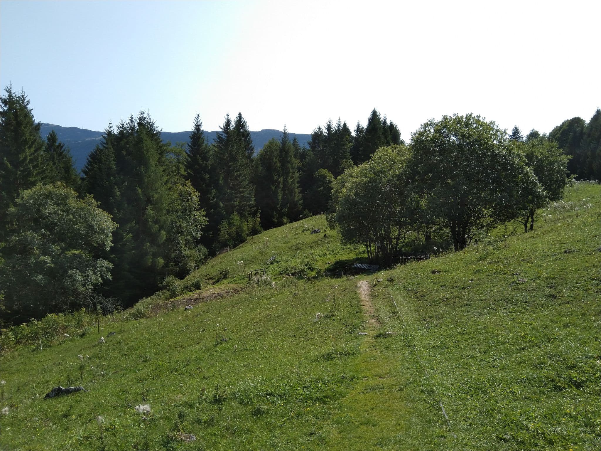 Street view near Rifugio Malga Andalo, Molveno — © bennett_p (CC BY-SA · Mapillary)