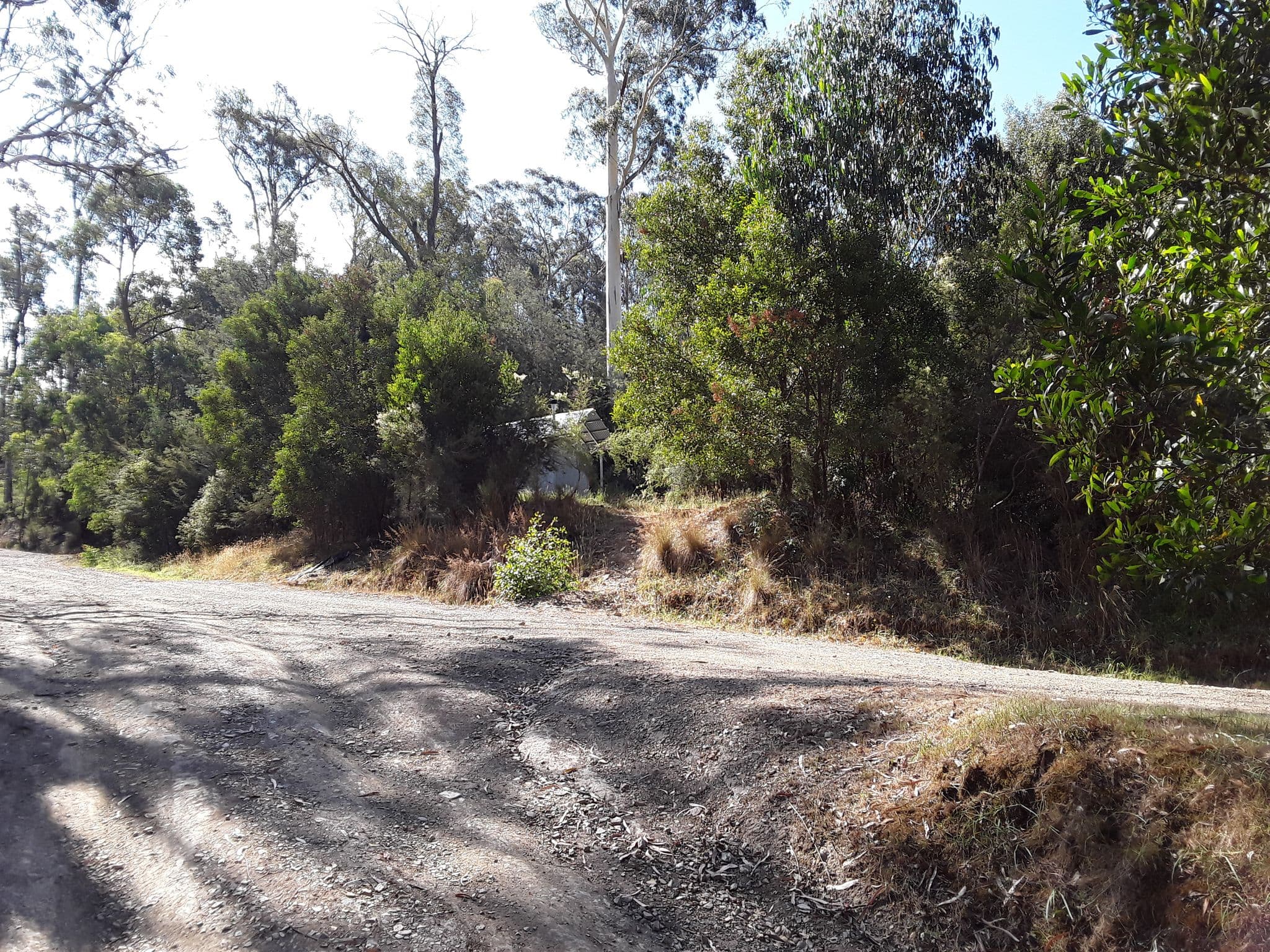 Street view near Bruntons Bridge Camping Area, Glengarry — © janvanbekkum (CC BY-SA · Mapillary)