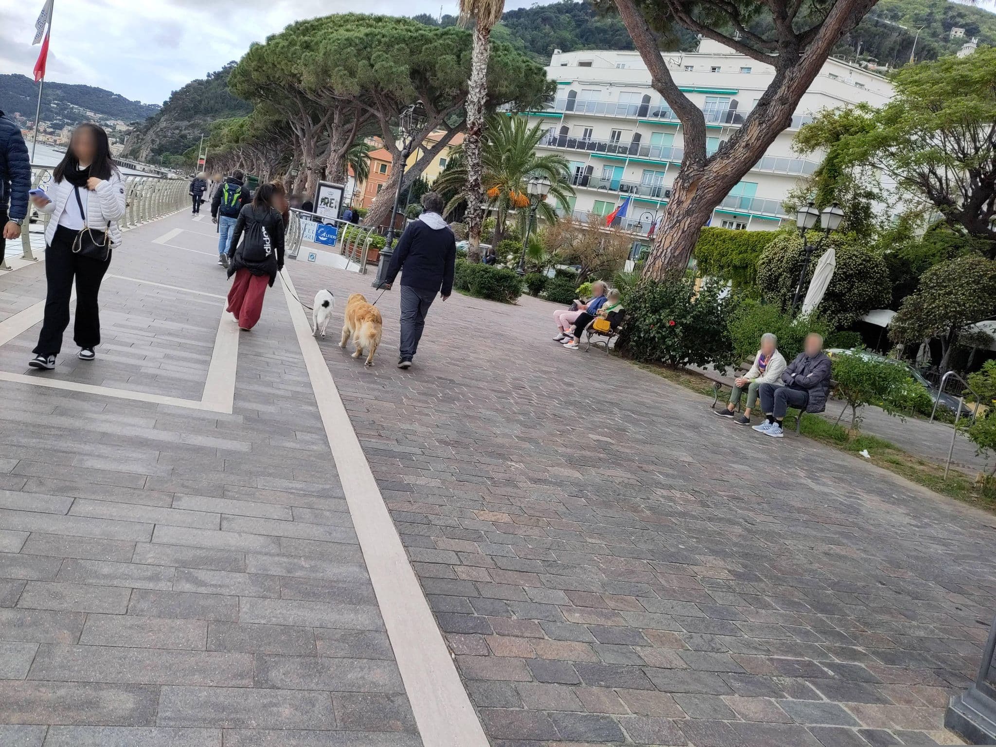 Street view near Hotel Beau Rivage, Alassio — © marcuscalabresus (CC BY-SA · Mapillary)