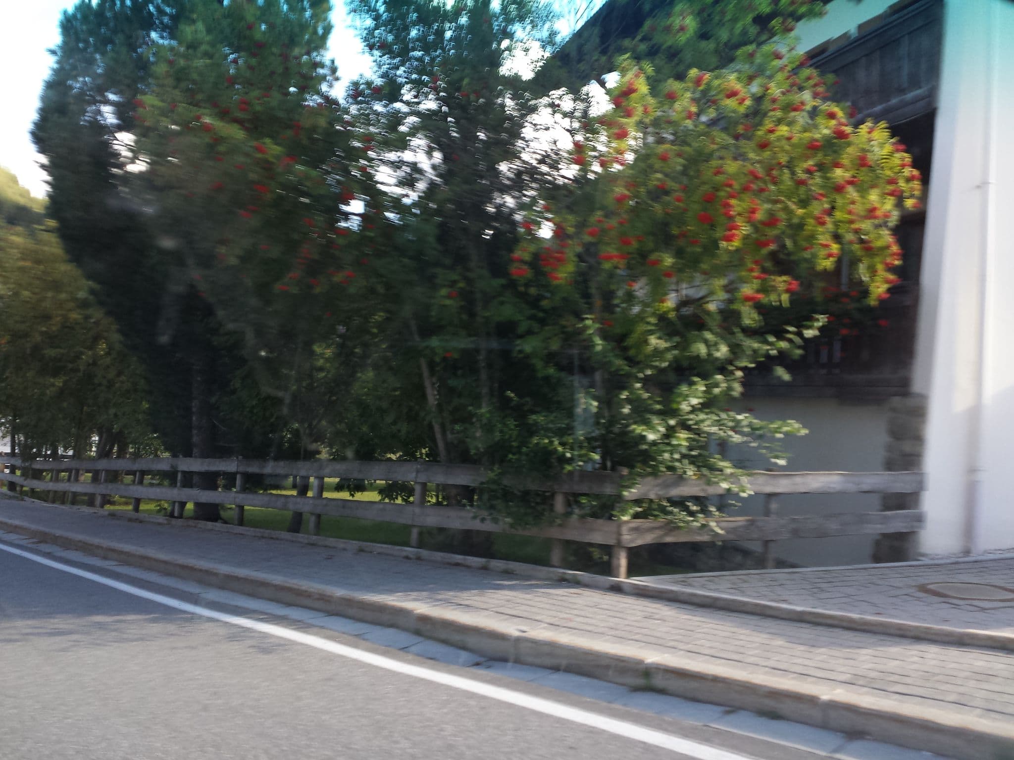 Street view near Bonaria, Selva