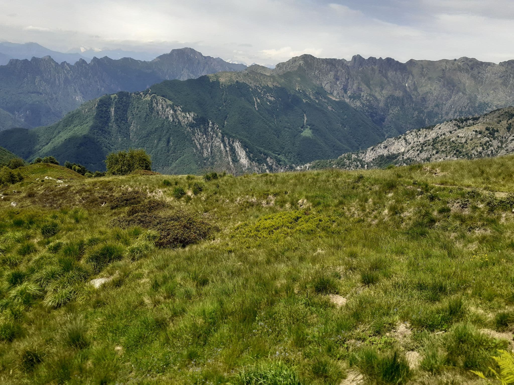 Street view near Ricovero invernale, Cambiasca — © agliatav (CC BY-SA · Mapillary)