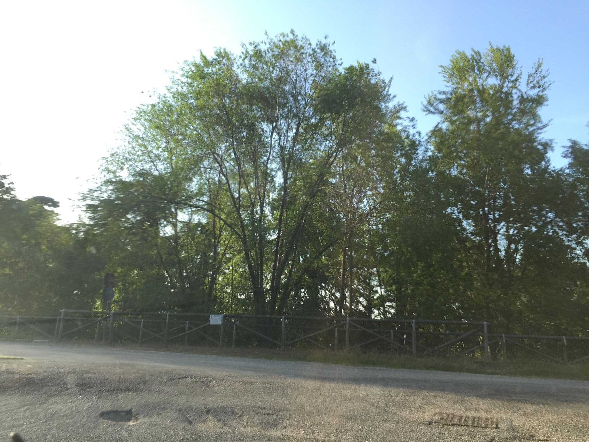 Street view near Area Camper Capriva del Friuli, Capriva del Friuli — © igorzo (CC BY-SA · Mapillary)