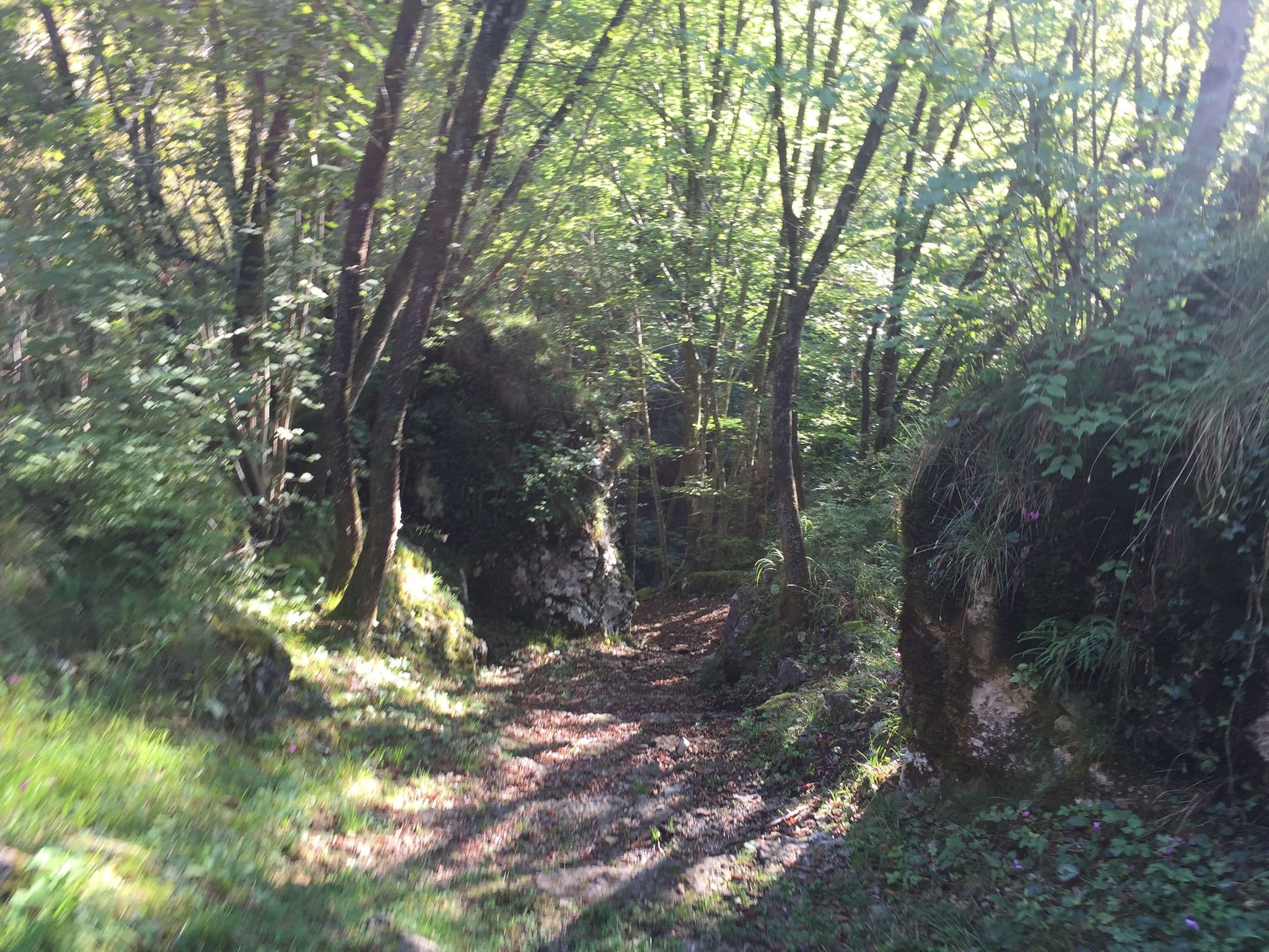Street view near Bivacco Frassaneit di Sotto, Meduno — © igorzo (CC BY-SA · Mapillary)