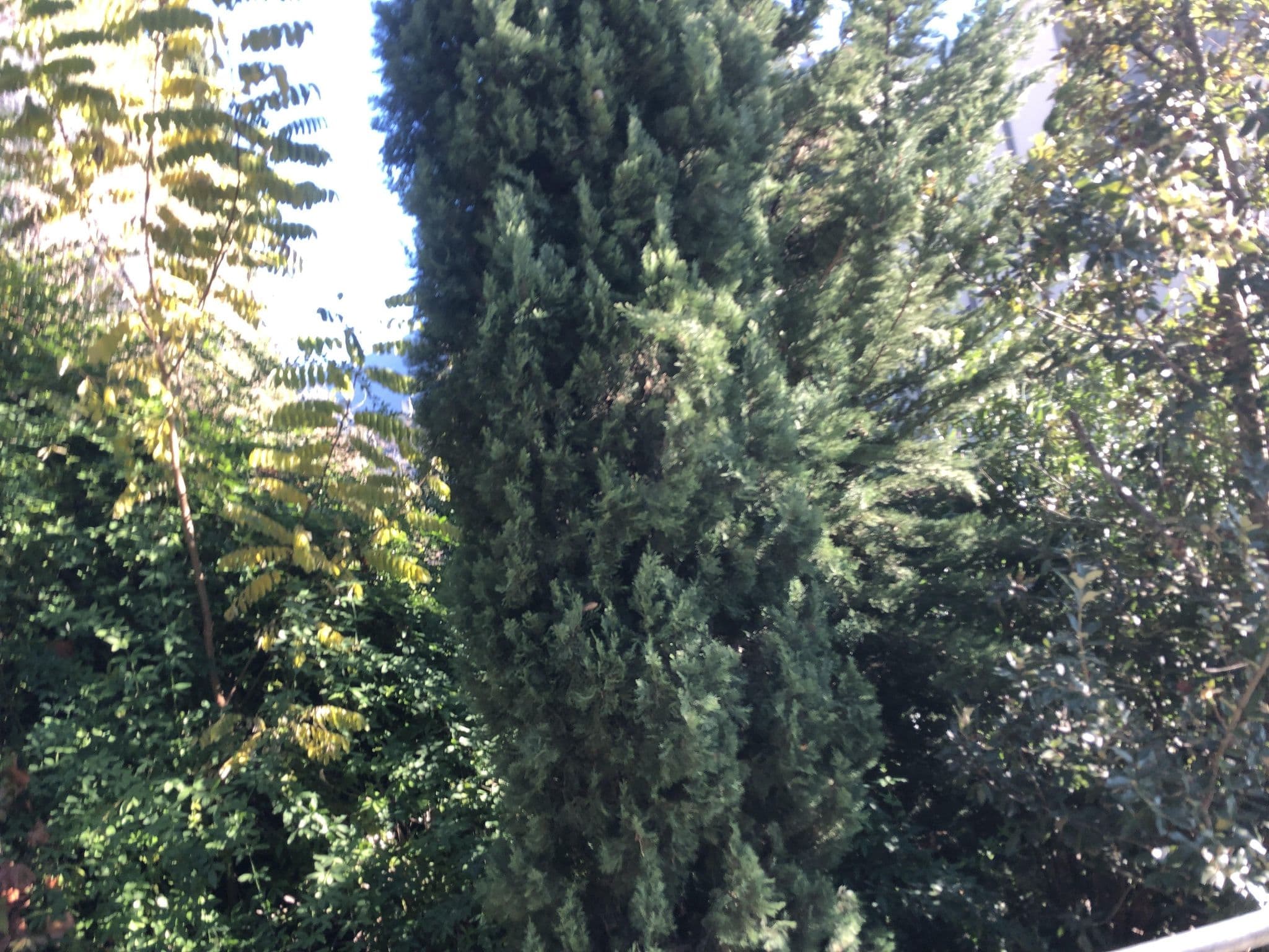 Street view near Hoody Active & Hapiness Hotel, Arco — © mich74 (CC BY-SA · Mapillary)