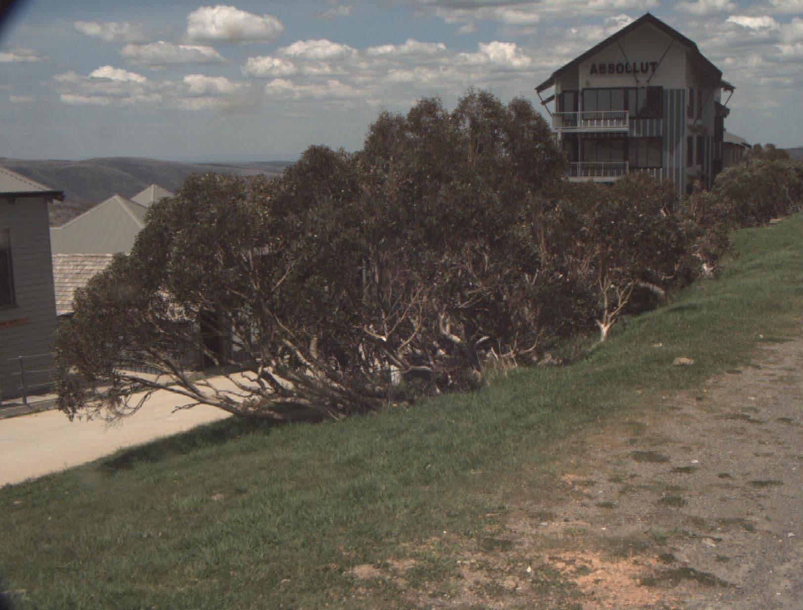 Street view near Dingo Joe's, Hotham Heights — © vicroads (CC BY-SA · Mapillary)