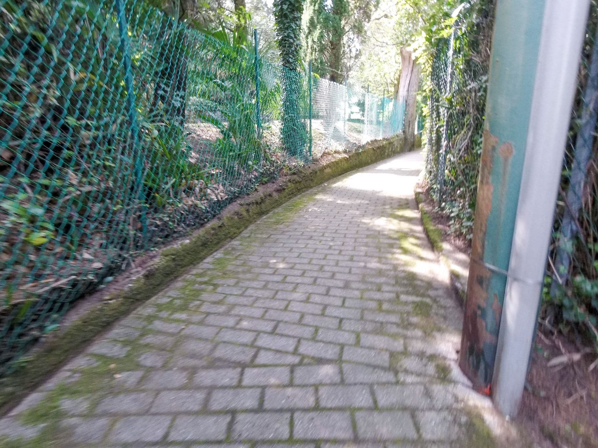Street view near Villa Collina, Cadenabbia — © dave683 (CC BY-SA · Mapillary)