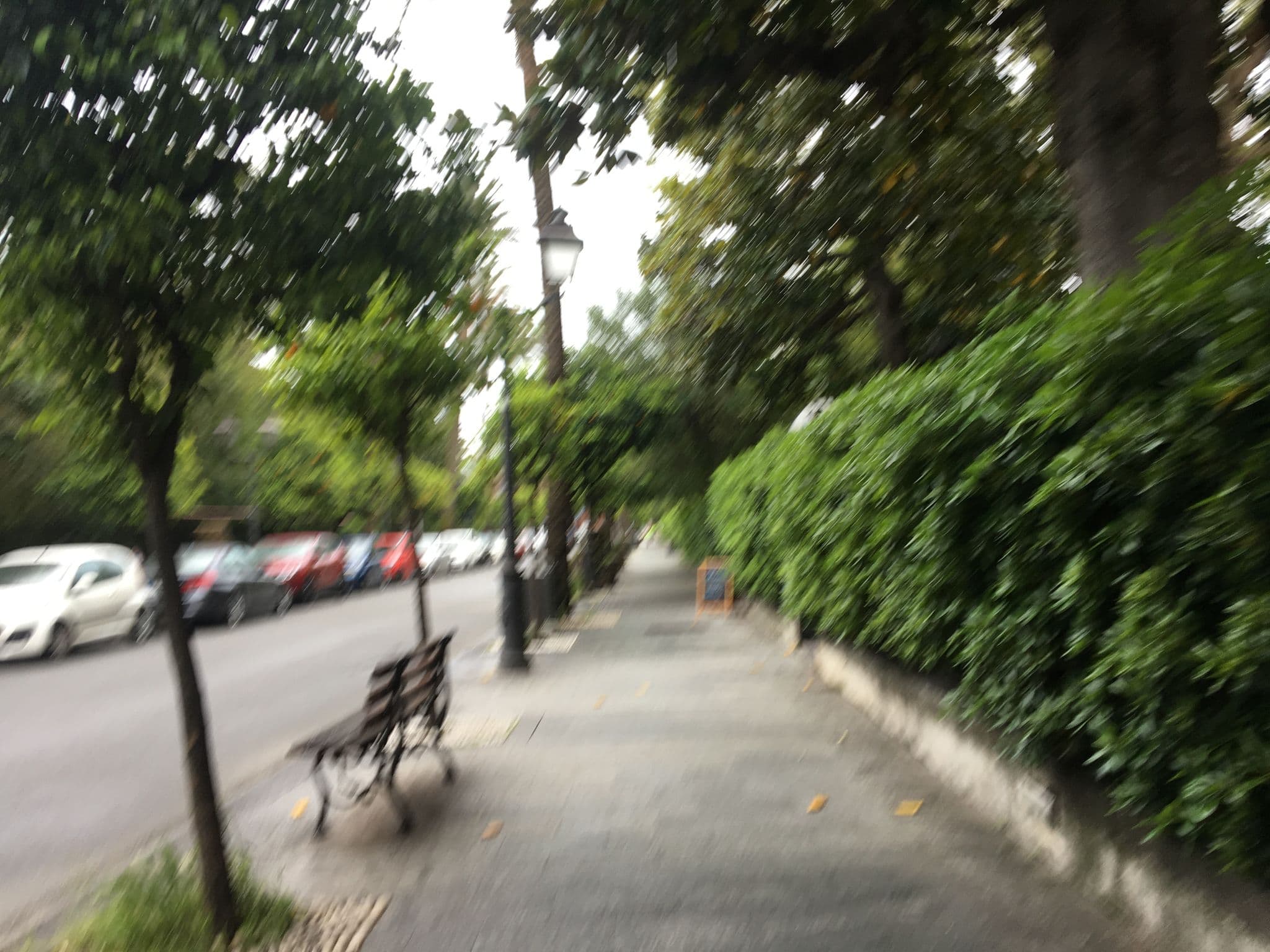 Street view near Capitolo Riviera, Nervi — © emiliano14 (CC BY-SA · Mapillary)