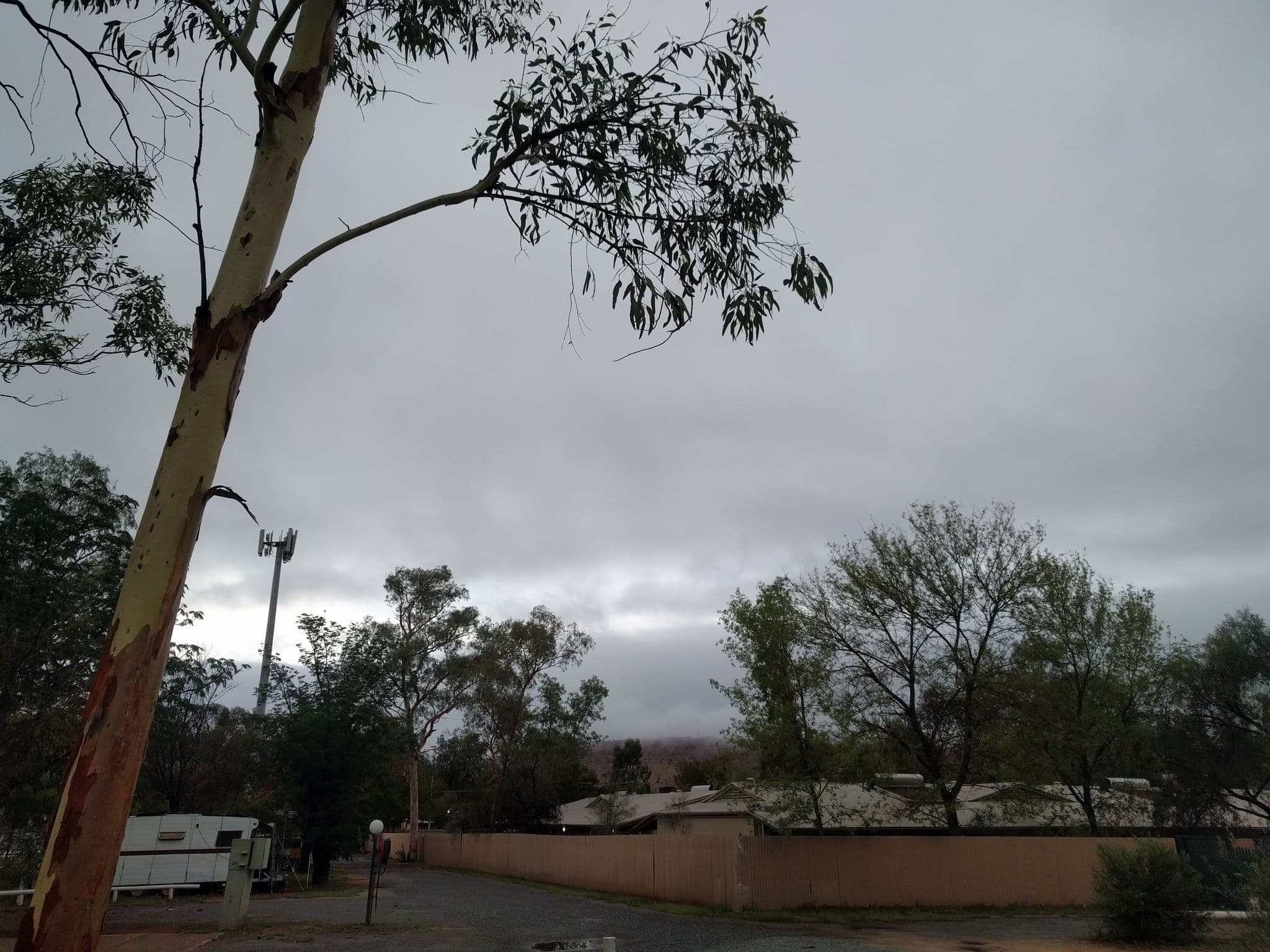 Street view near Alice Springs Tourist Park, Araluen — © janvanbekkum (CC BY-SA · Mapillary)