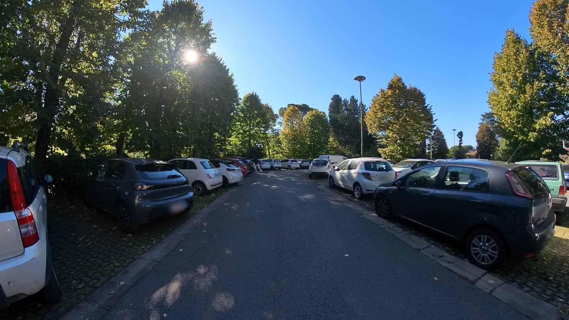 Street view near Ape Rosa, Florence