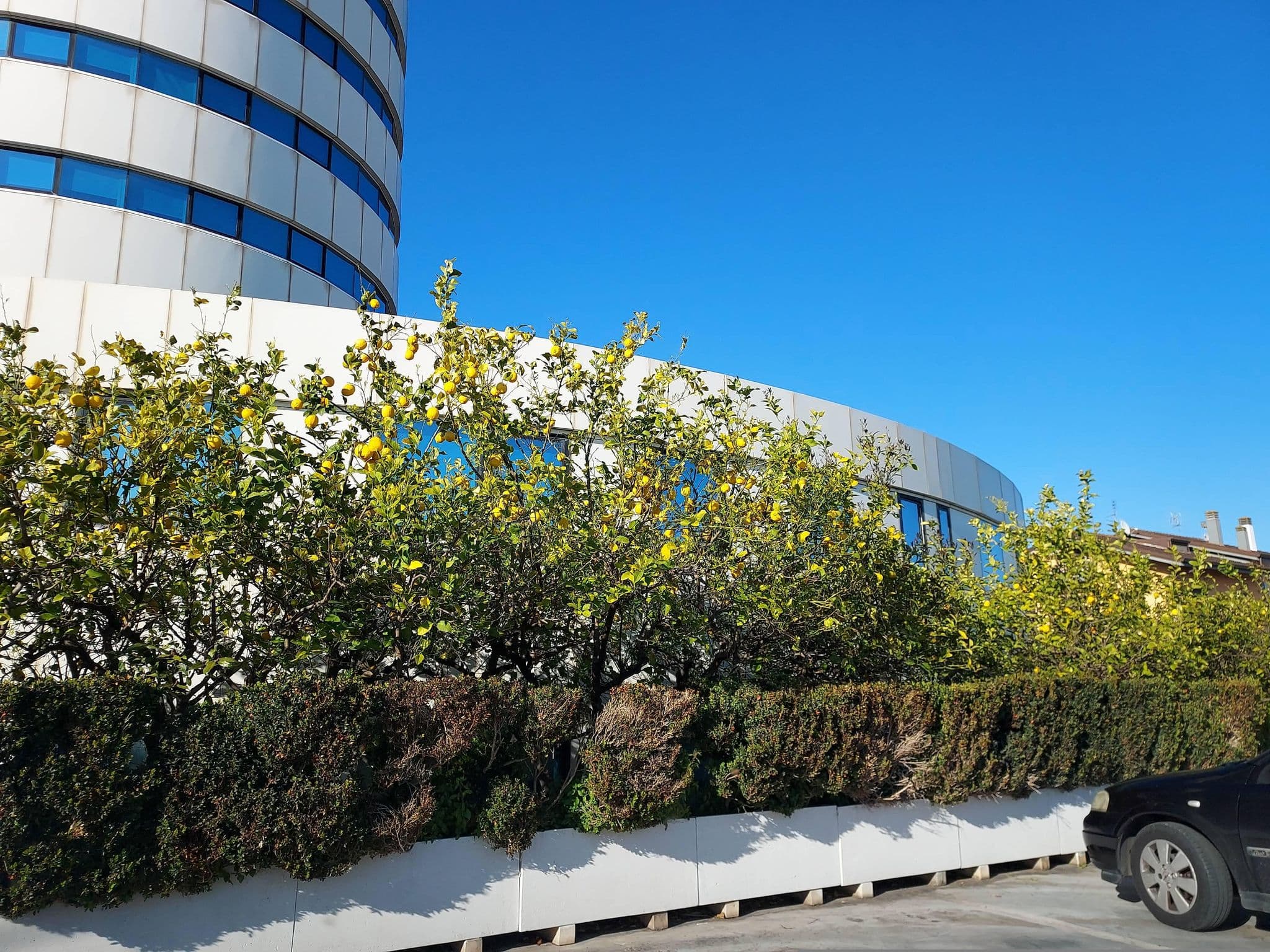 Street view near Hotel Enea, Aprilia — © odiug (CC BY-SA · Mapillary)