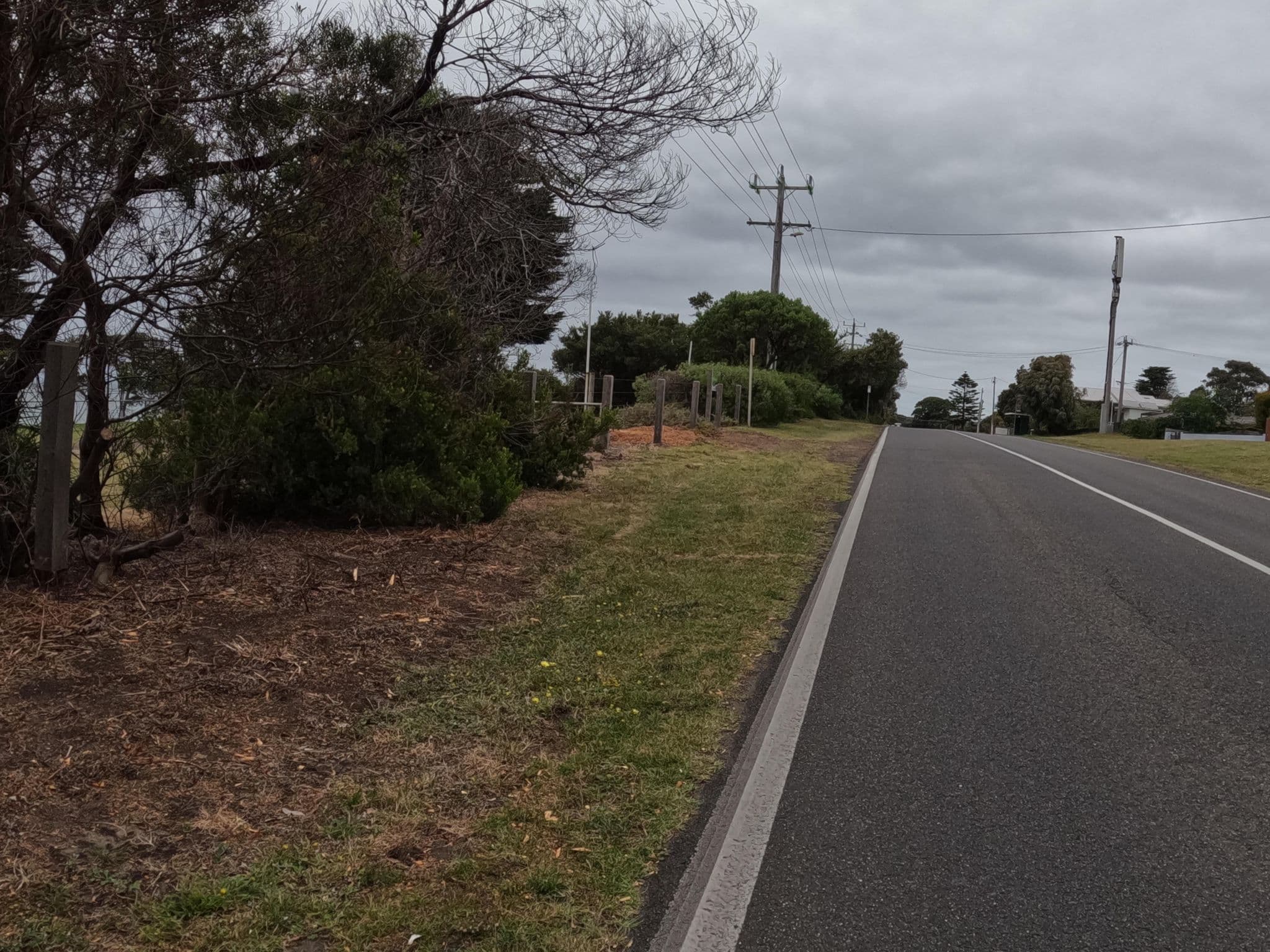 Street view near Taylor Reserve, Indented Head — © skillsy (CC BY-SA · Mapillary)