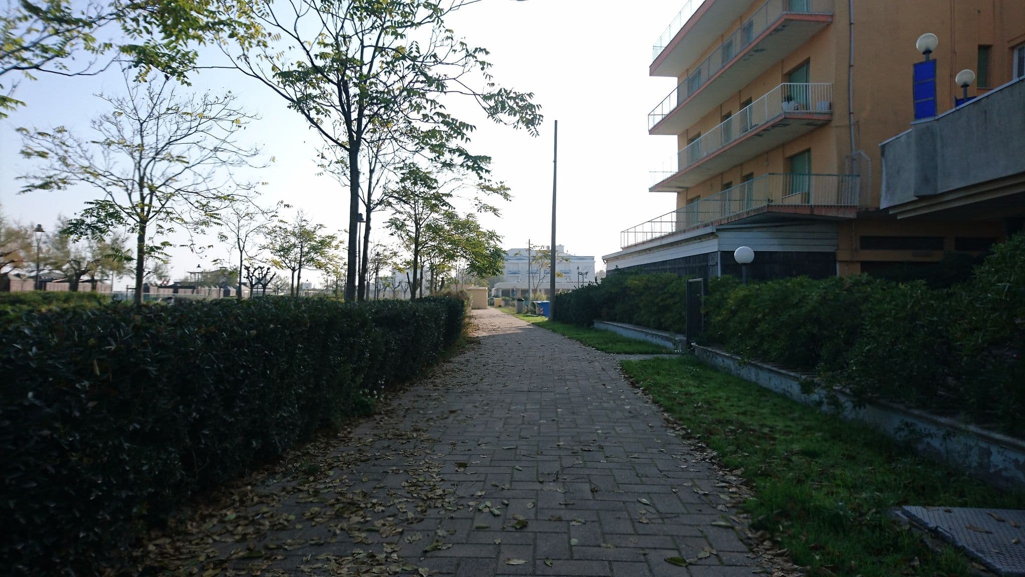 Street view near Hotel Paloma, Rimini