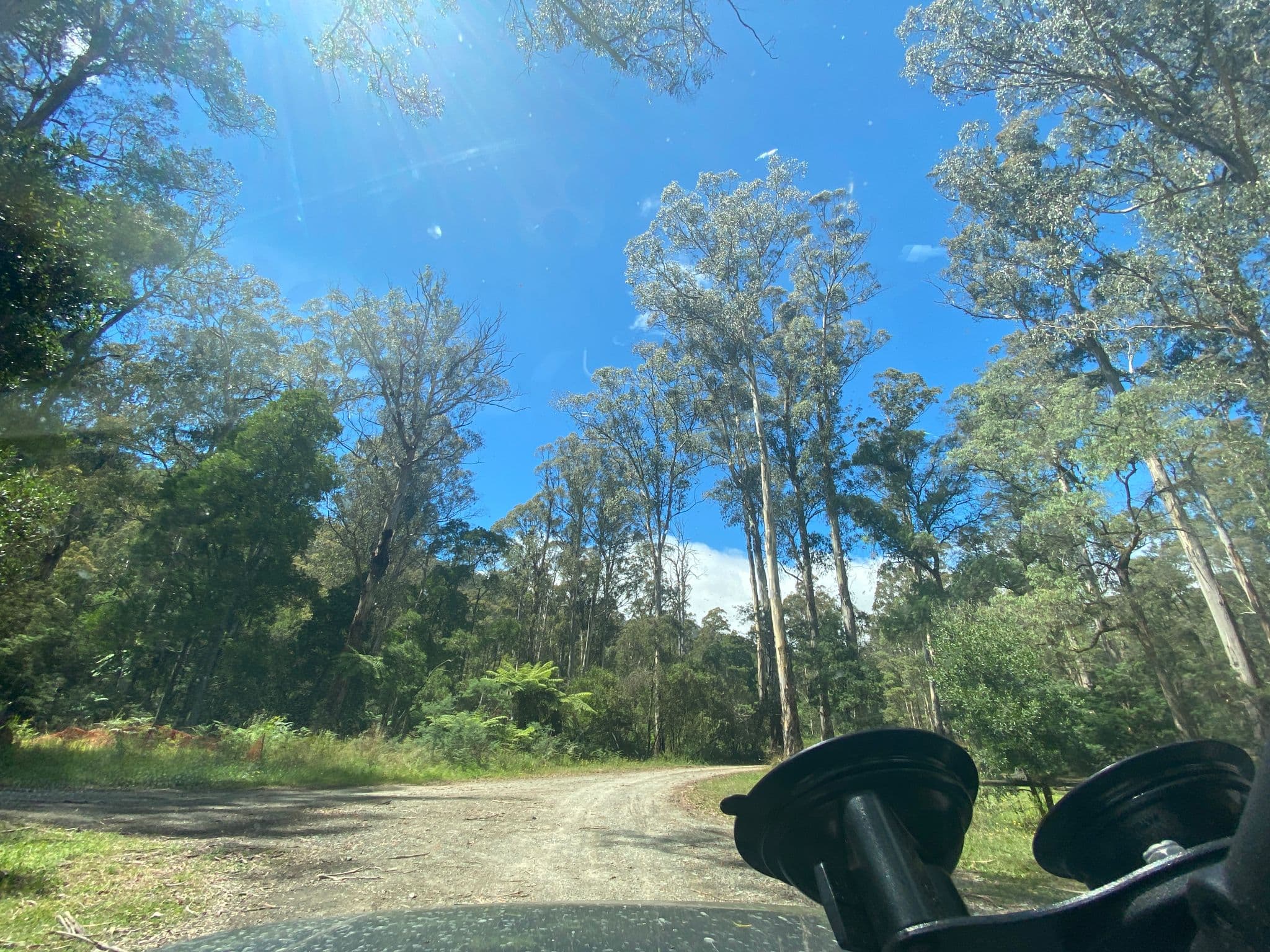 Street view near Frenchmans Creek, Warburton — © hakk (CC BY-SA · Mapillary)