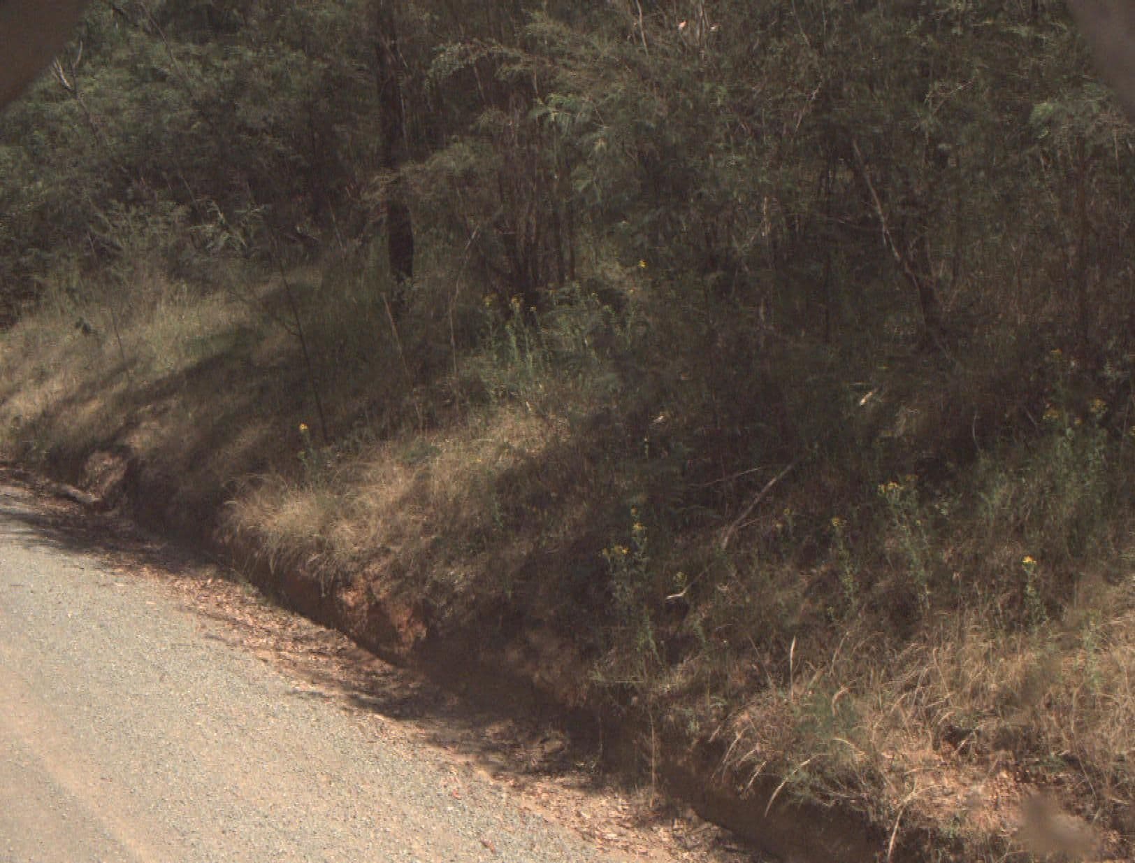 Street view near Tunnel Bend Reserve, Mount Buller