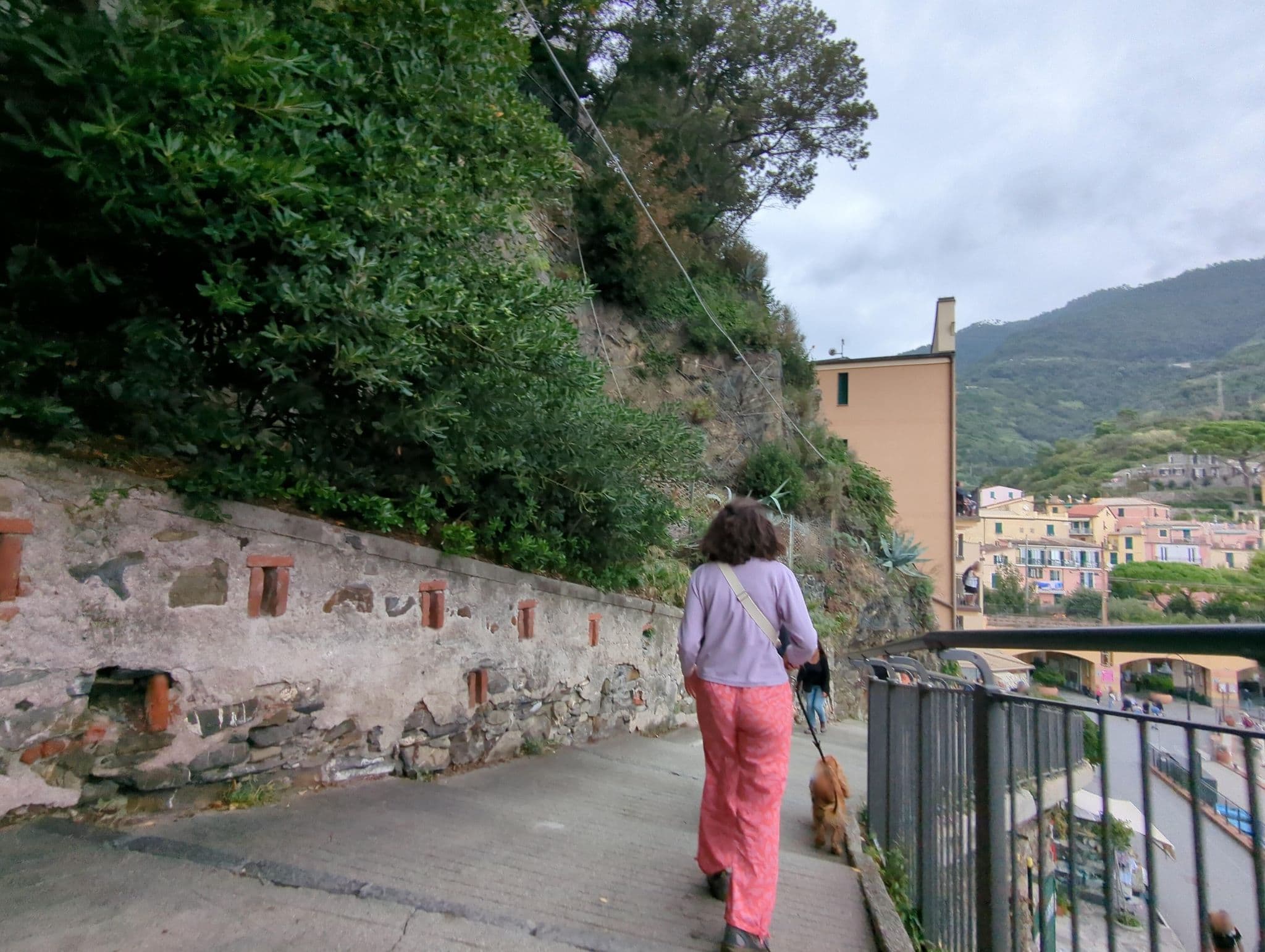 Street view near Albergo Pasquale, Monterosso al Mare — © ente (CC BY-SA · Mapillary)