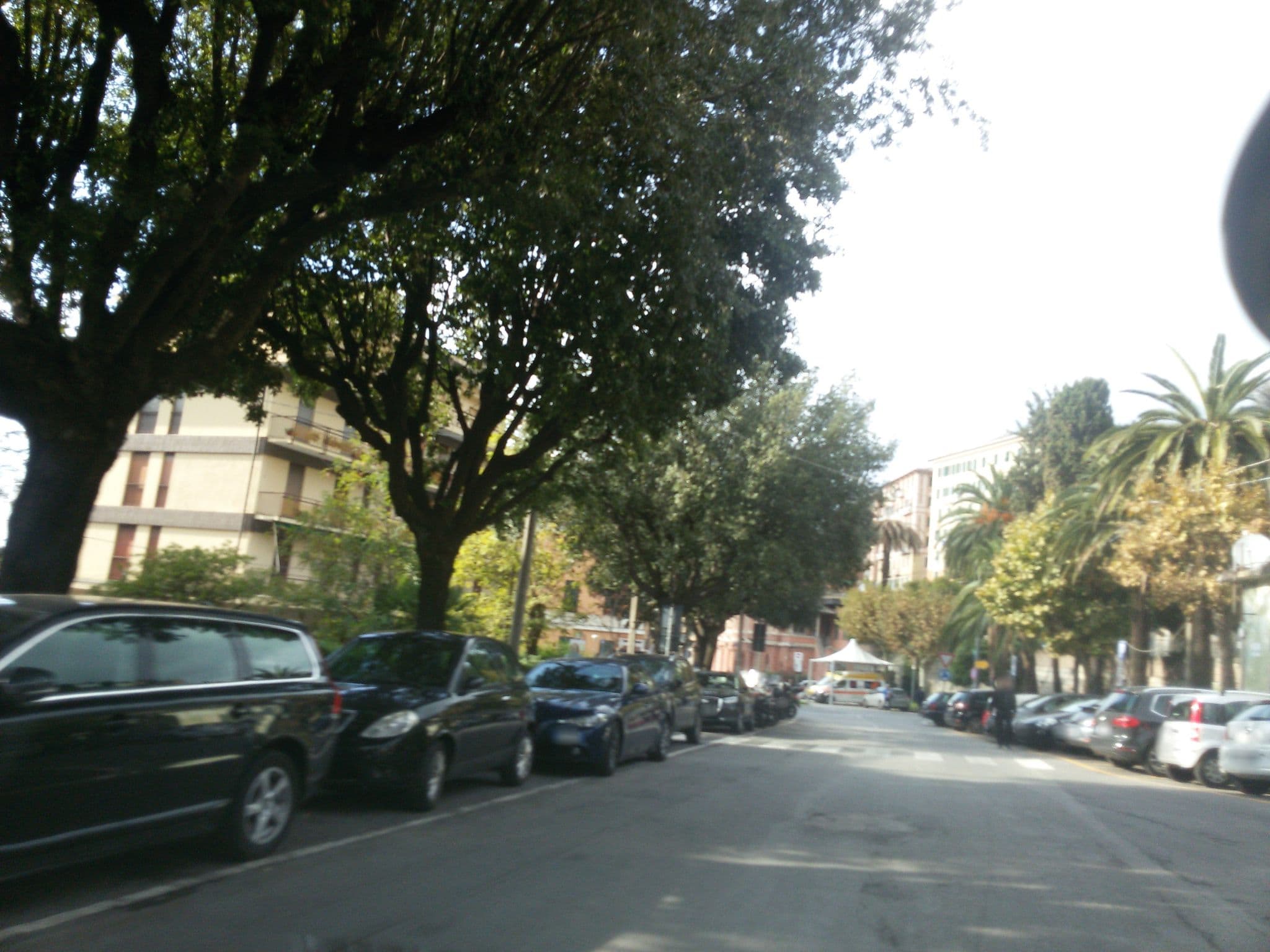 Street view near Hotel Ristorante Selene, Camogli — © ale_zena_it (CC BY-SA · Mapillary)