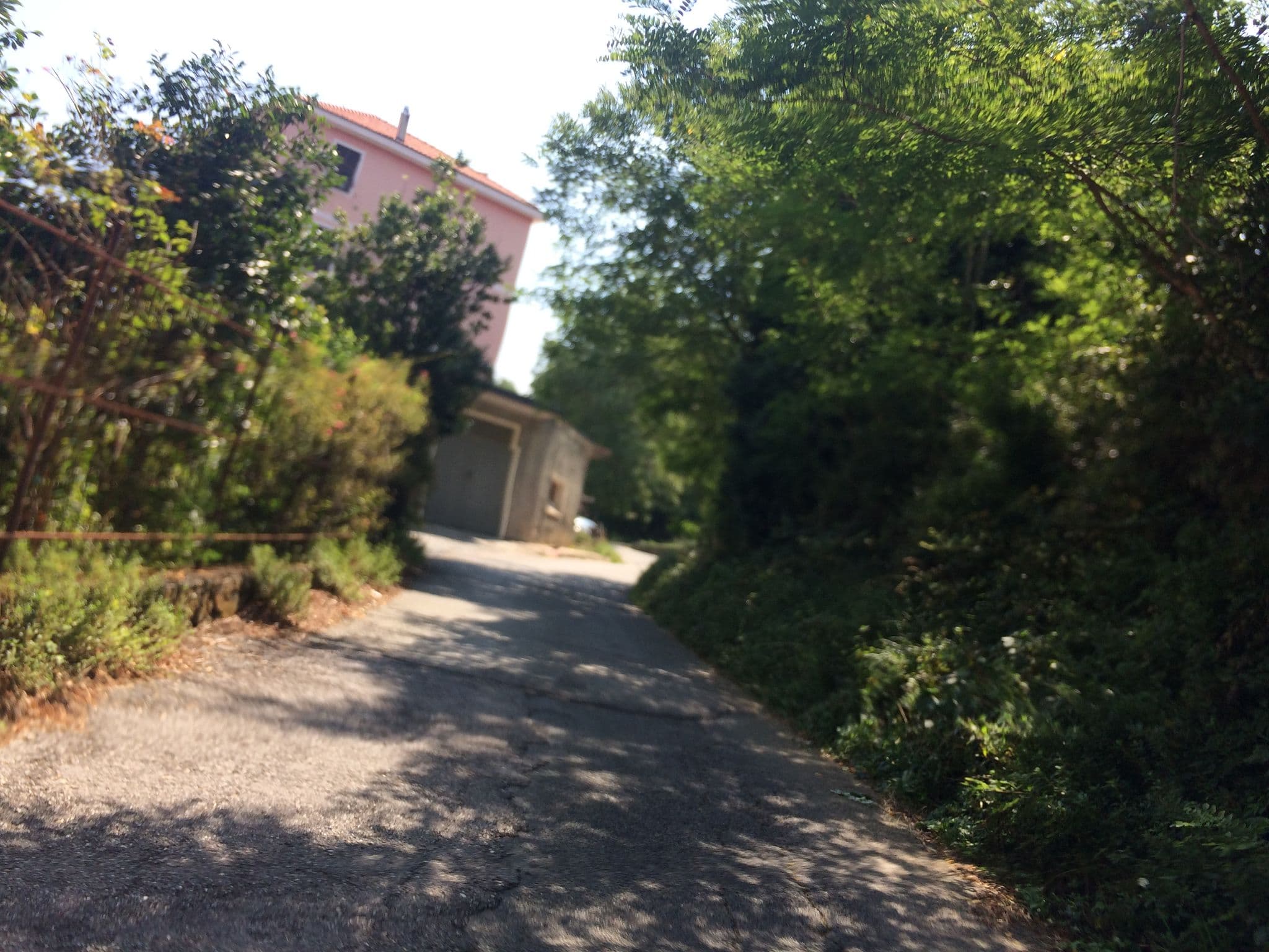Street view near Hotel La Pineta, Sciarborasca — © cxc (CC BY-SA · Mapillary)