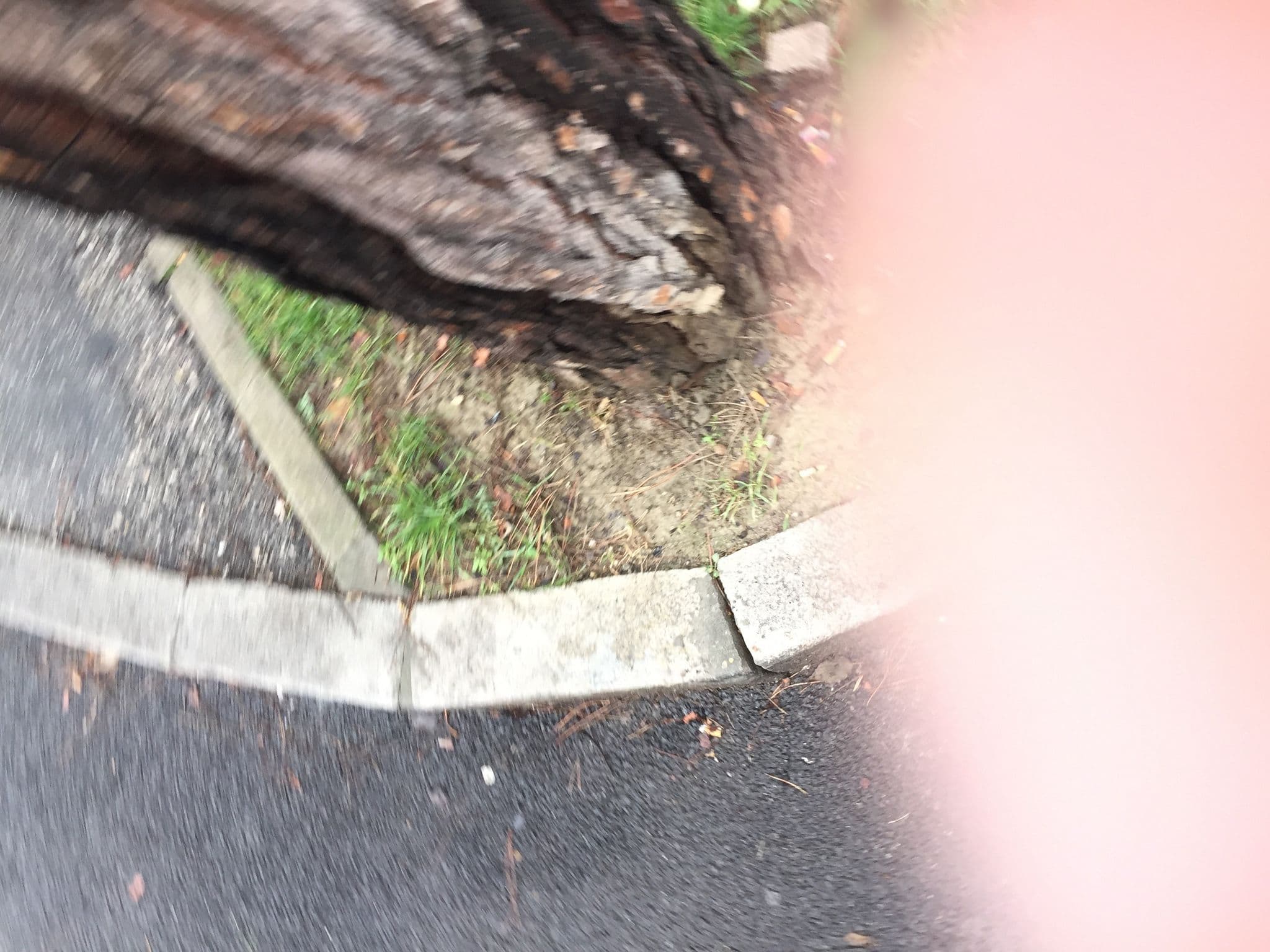 Street view near NH Bologna de la Gare, Bologna — © vipoosanan (CC BY-SA · Mapillary)