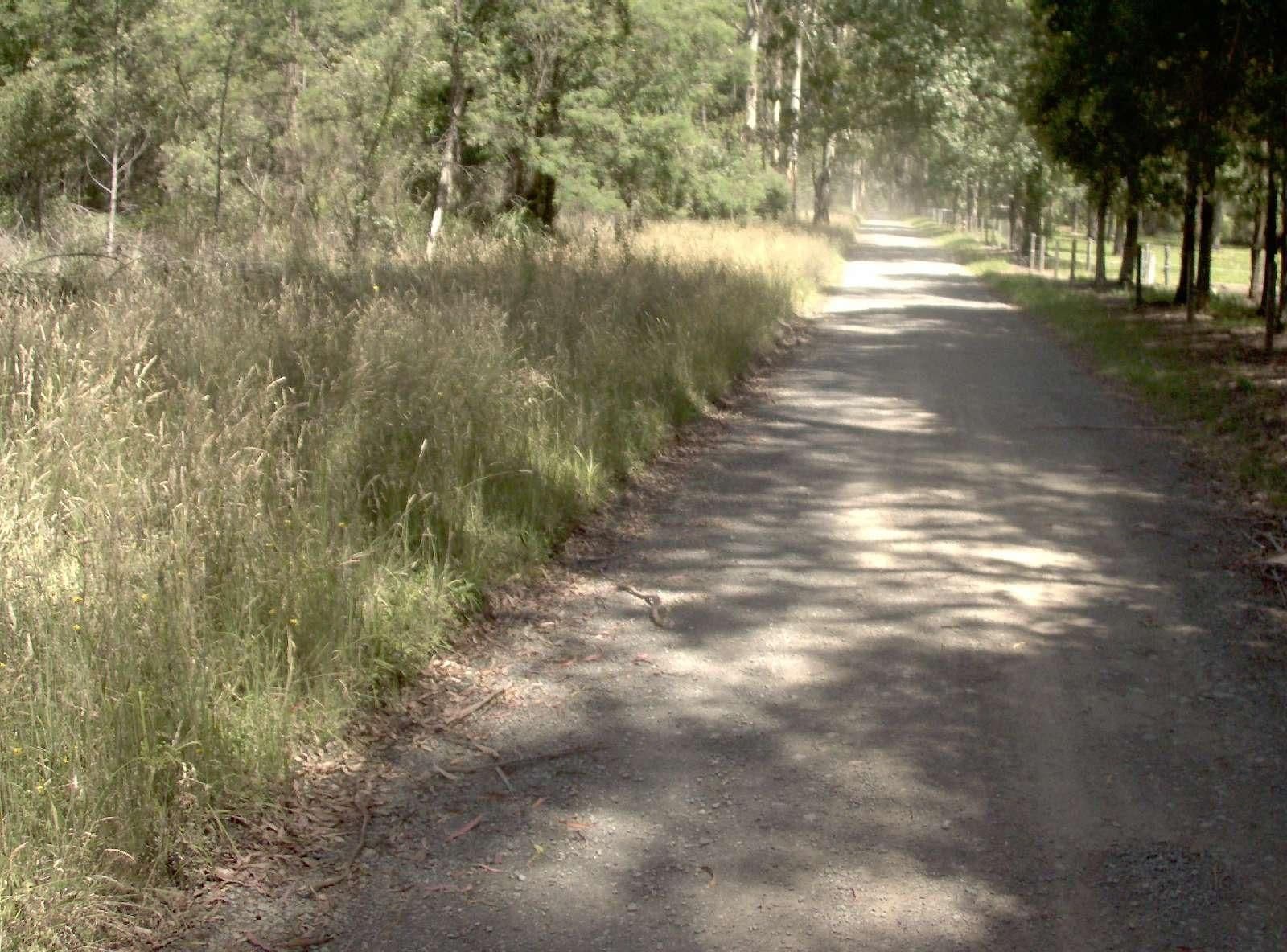 Street view near The Poplars Camping Ground, Neerim South — © vicroads (CC BY-SA · Mapillary)