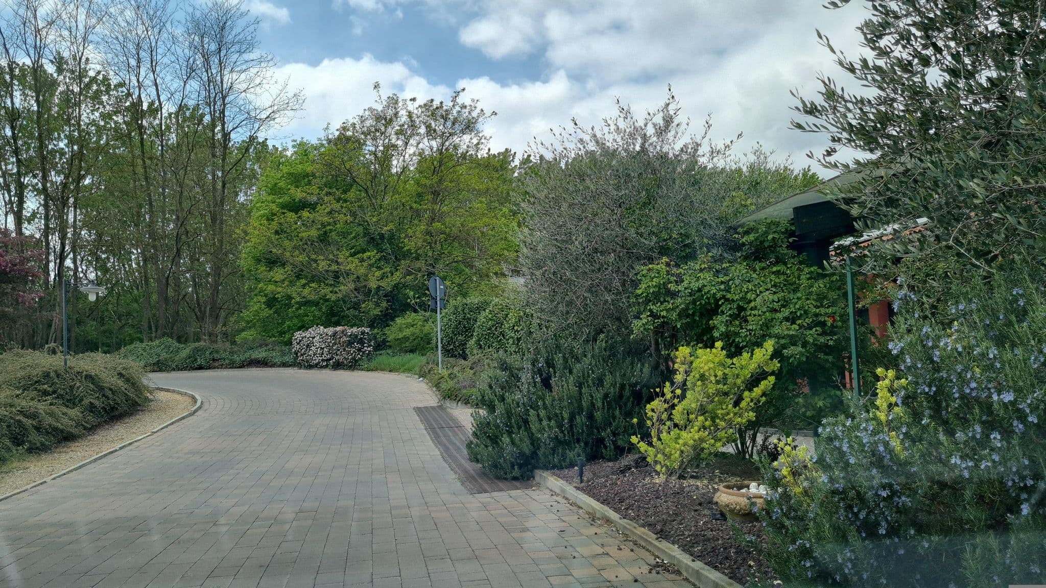 Street view near Cascina Scova, Pavia — © laniuscollurio (CC BY-SA · Mapillary)