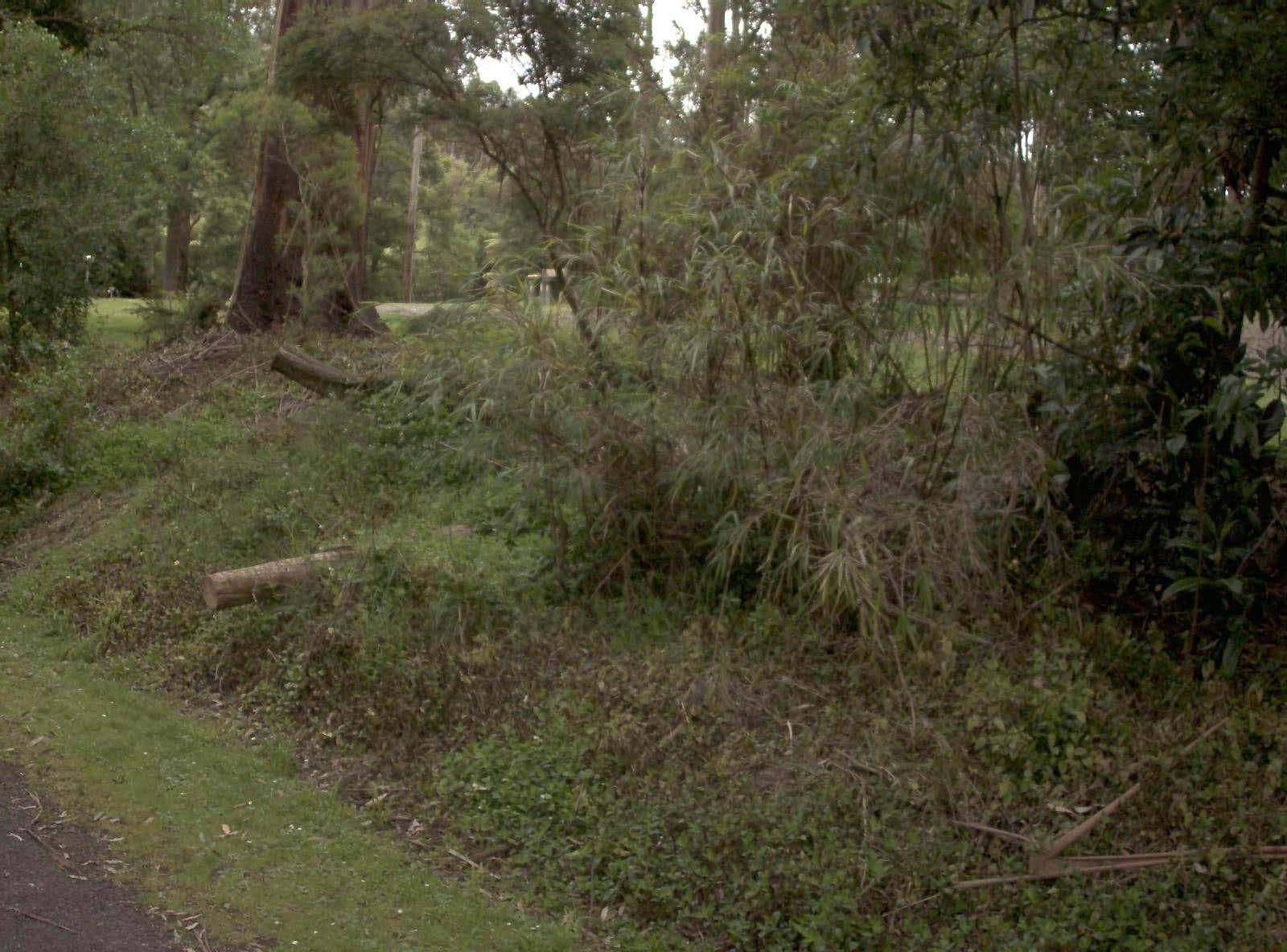 Street view near Tarra Valley Caravan Park, Yarram — © vicroads (CC BY-SA · Mapillary)