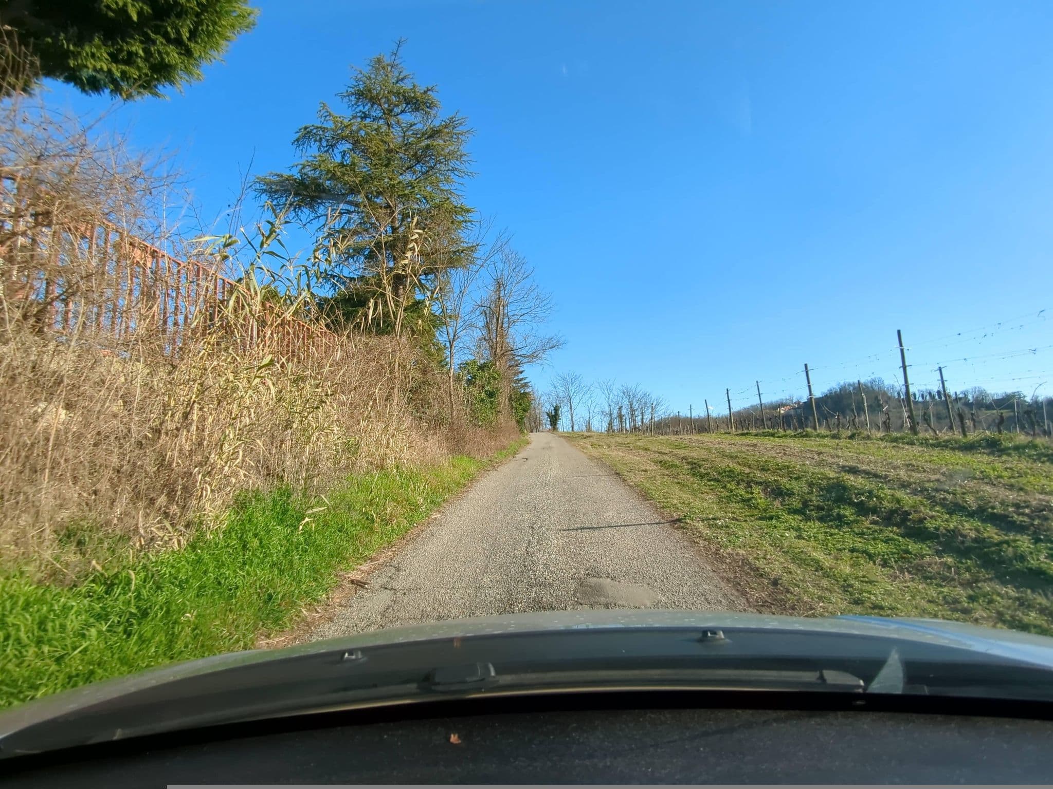 Street view near Alice in Wonderland, Ozzano Monferrato — © musuruan (CC BY-SA · Mapillary)