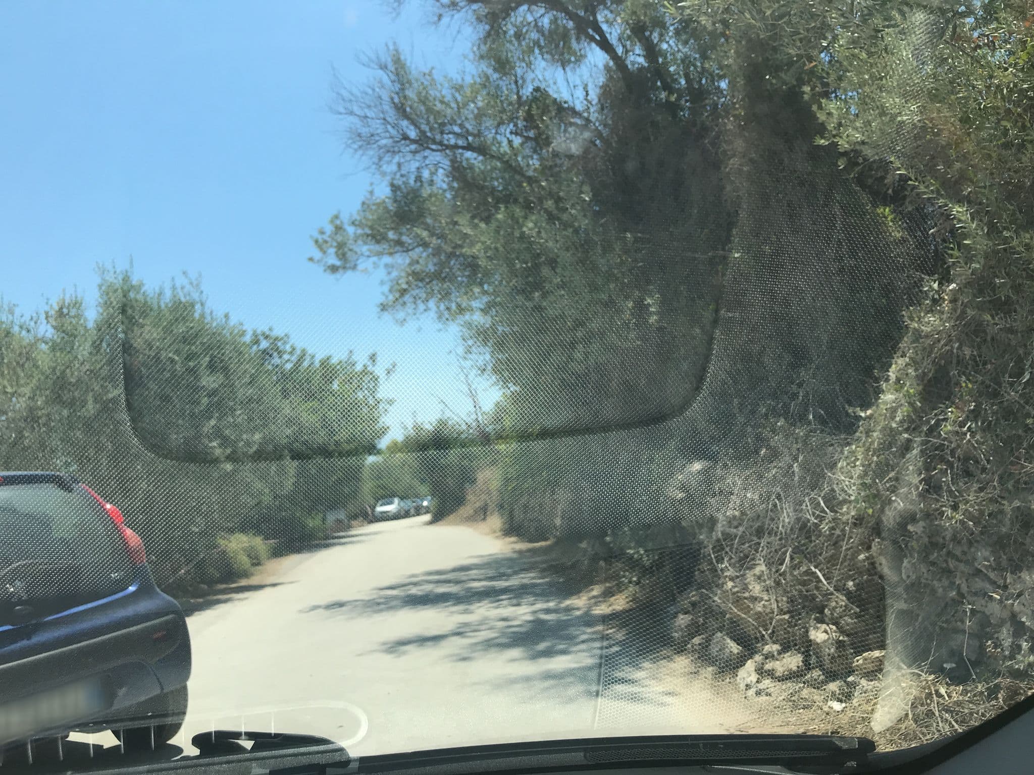 Street view near Agriturismo Il Baglietto, Noto — © geoengtechel (CC BY-SA · Mapillary)