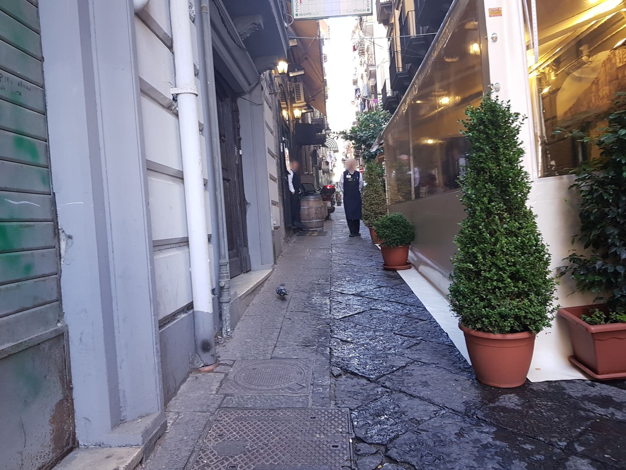 Street view near Il Cavaliere di Toledo Casa vacanze, Montecalvario — © 0122000022 (CC BY-SA · Mapillary)