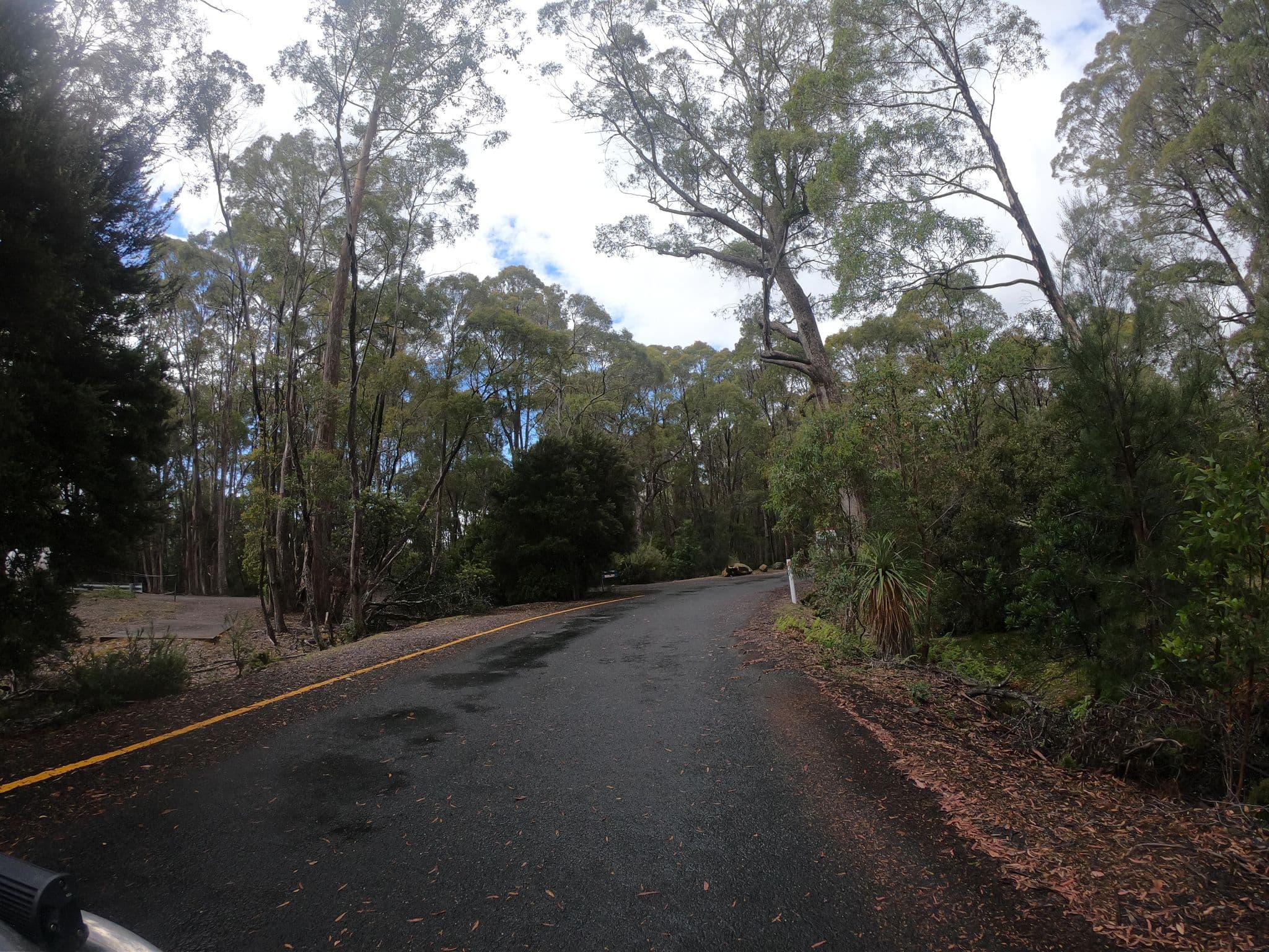 Street view near Lake St Clair Lodge - Reception, Deloraine — © tastrax (CC BY-SA · Mapillary)