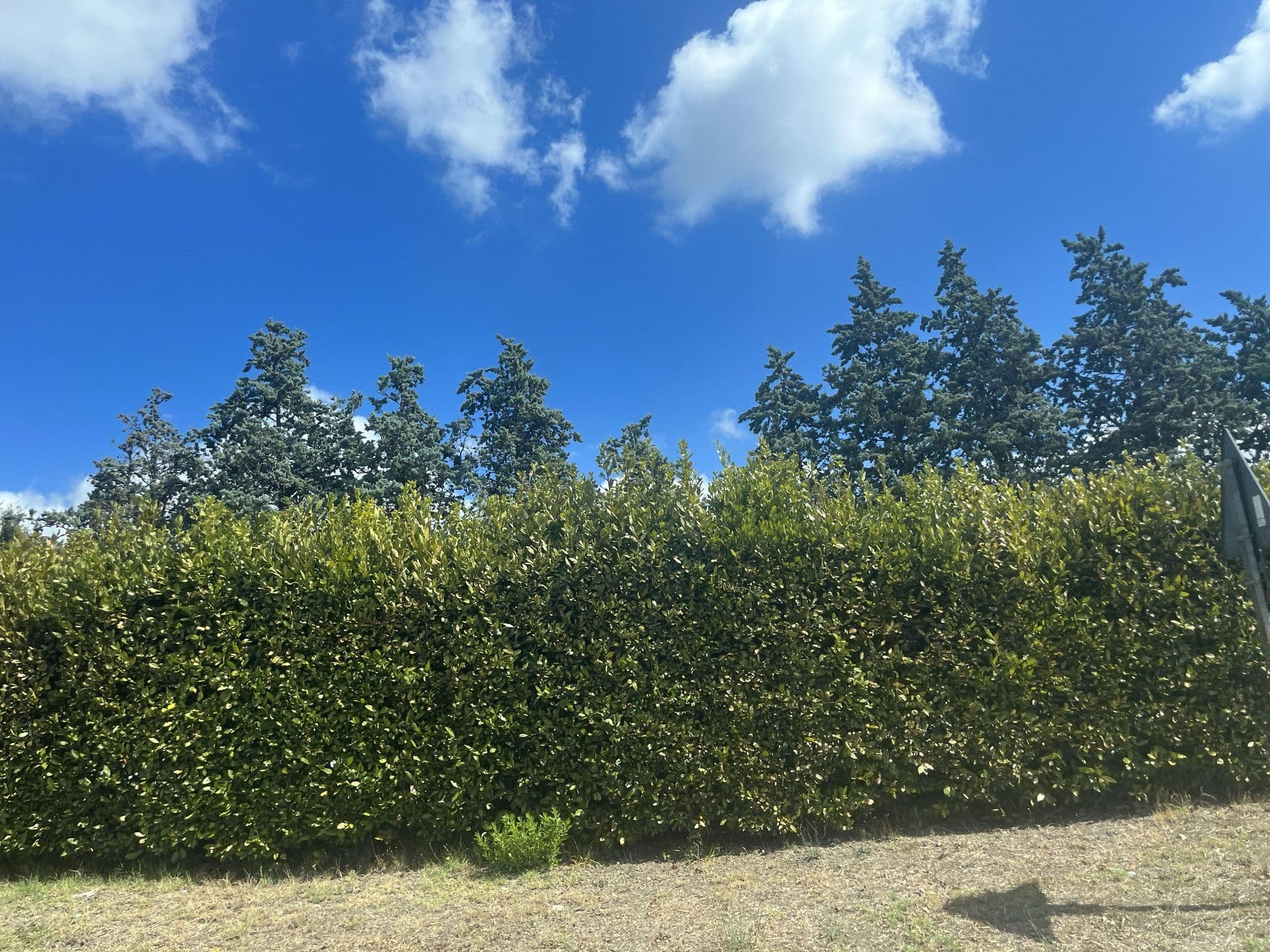 Street view near B&B Le Due Vie, Pomarance — © oeschinen (CC BY-SA · Mapillary)