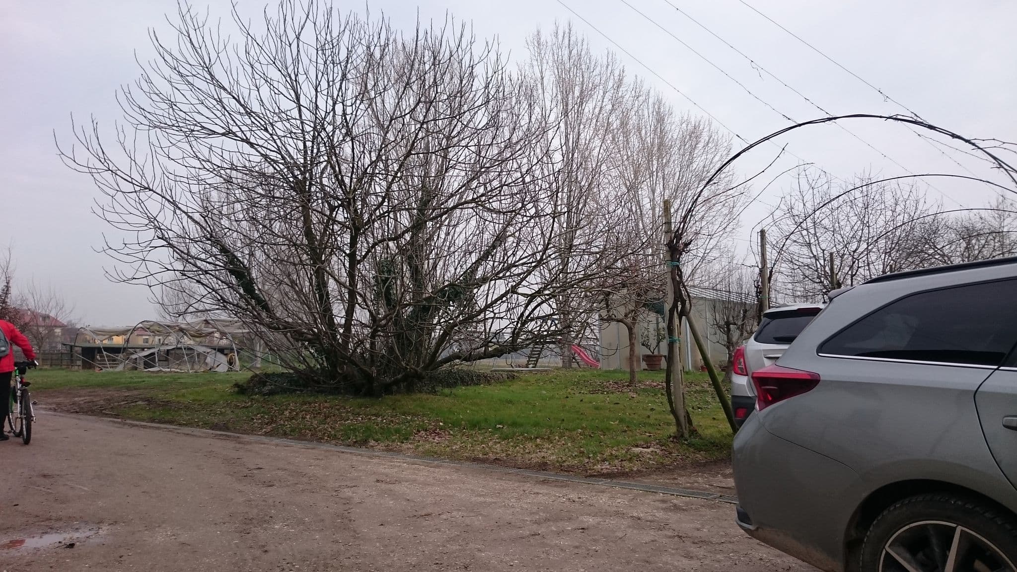 Street view near Casa del Melograno, Longare — © voschix (CC BY-SA · Mapillary)
