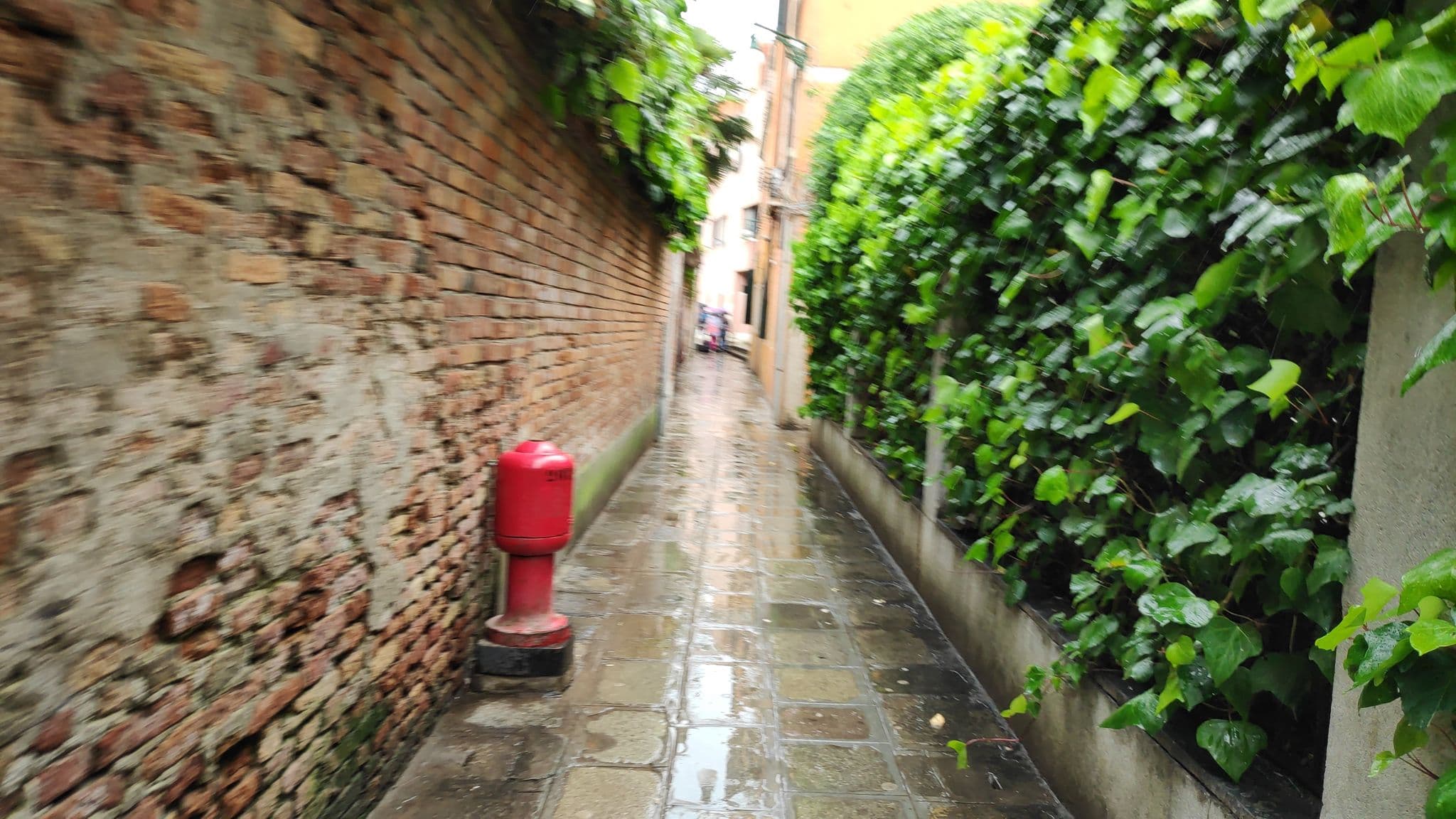 Street view near VRBO, Venice — © marcuscalabresus (CC BY-SA · Mapillary)