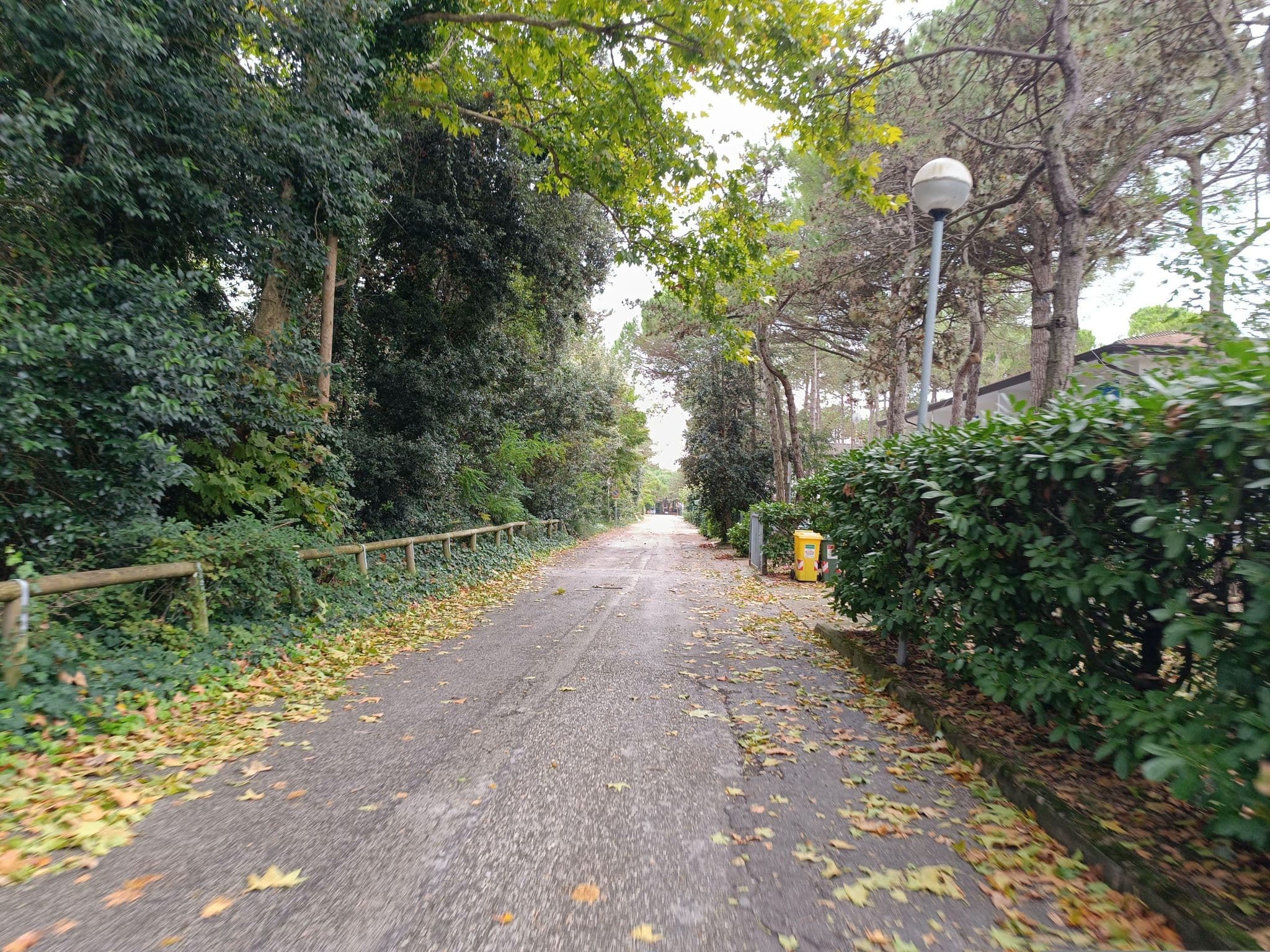 Street view near Giorgio, Bibione