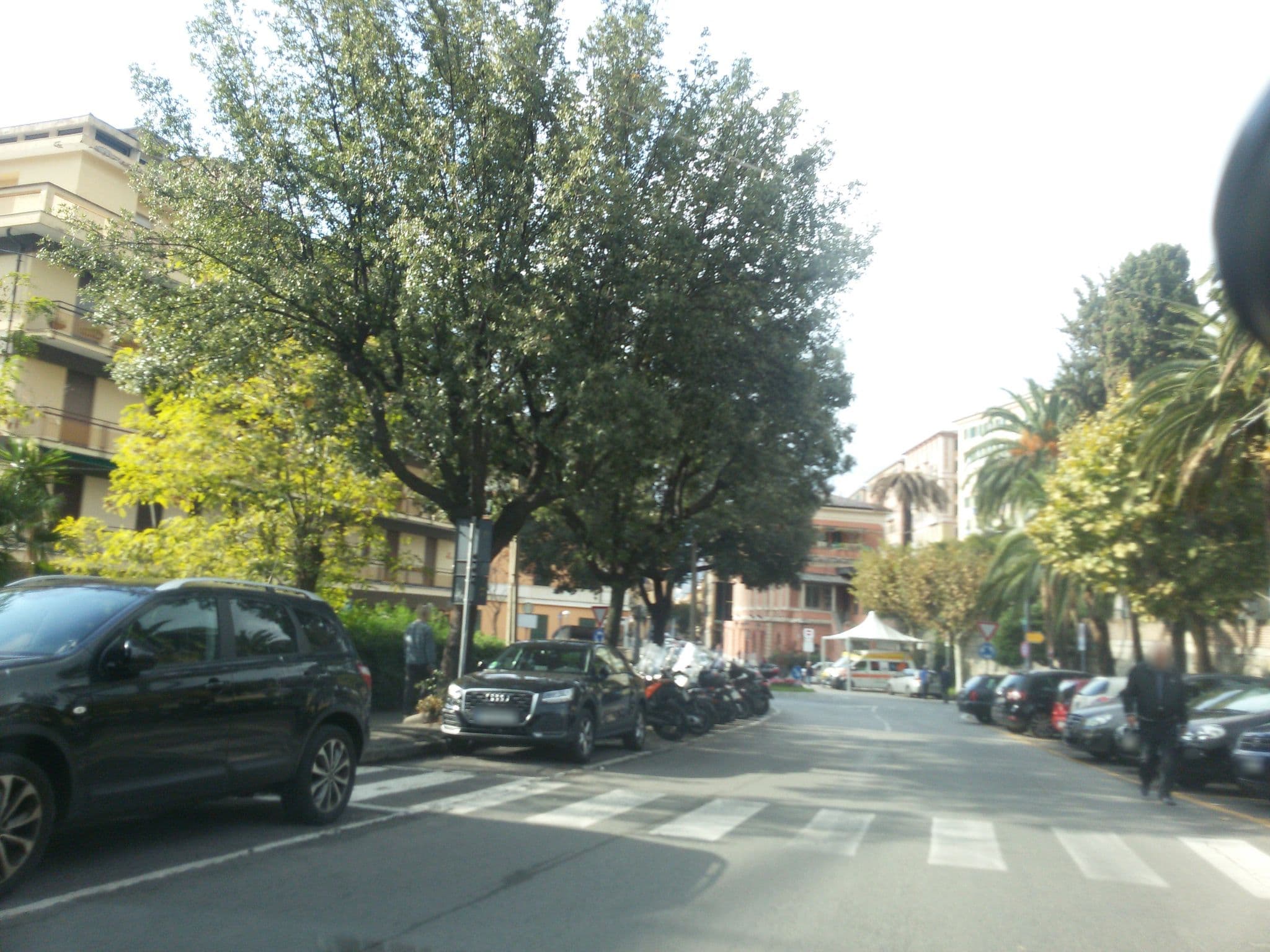 Street view near Acqua Marina, Camogli — © ale_zena_it (CC BY-SA · Mapillary)