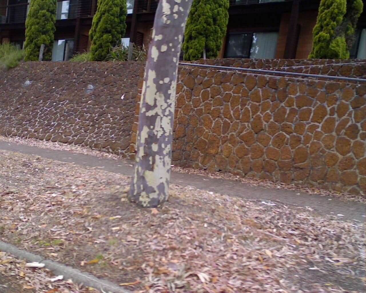 Street view near Best Western Pemberton, Pemberton — © bob3bob3 (CC BY-SA · Mapillary)