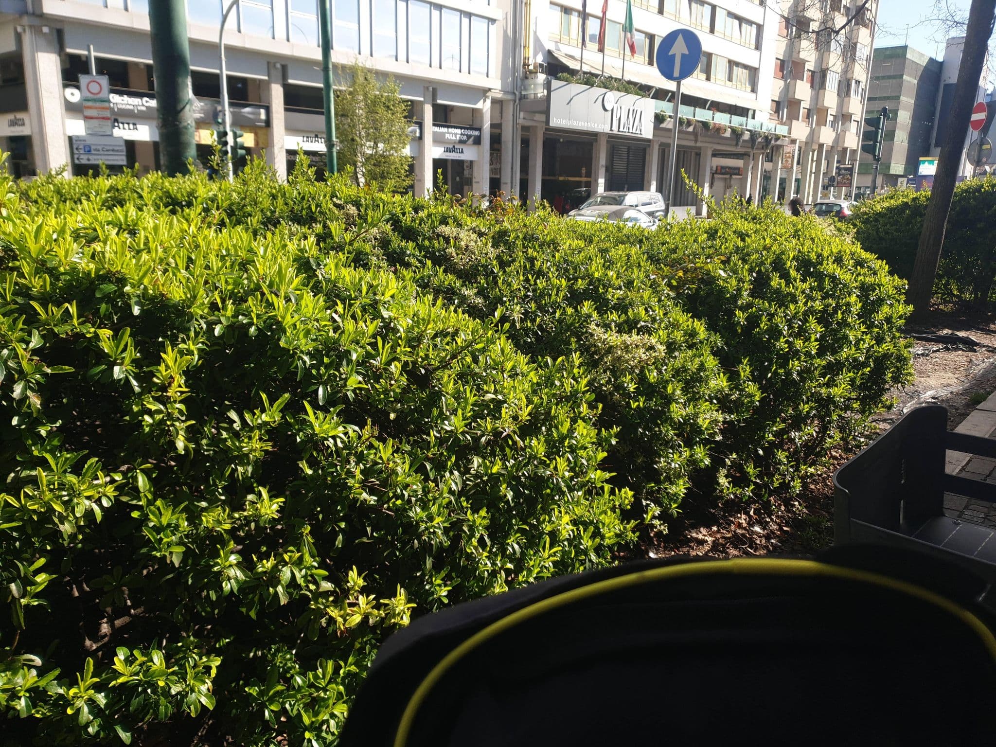 Street view near Hotel Bologna, Mestre