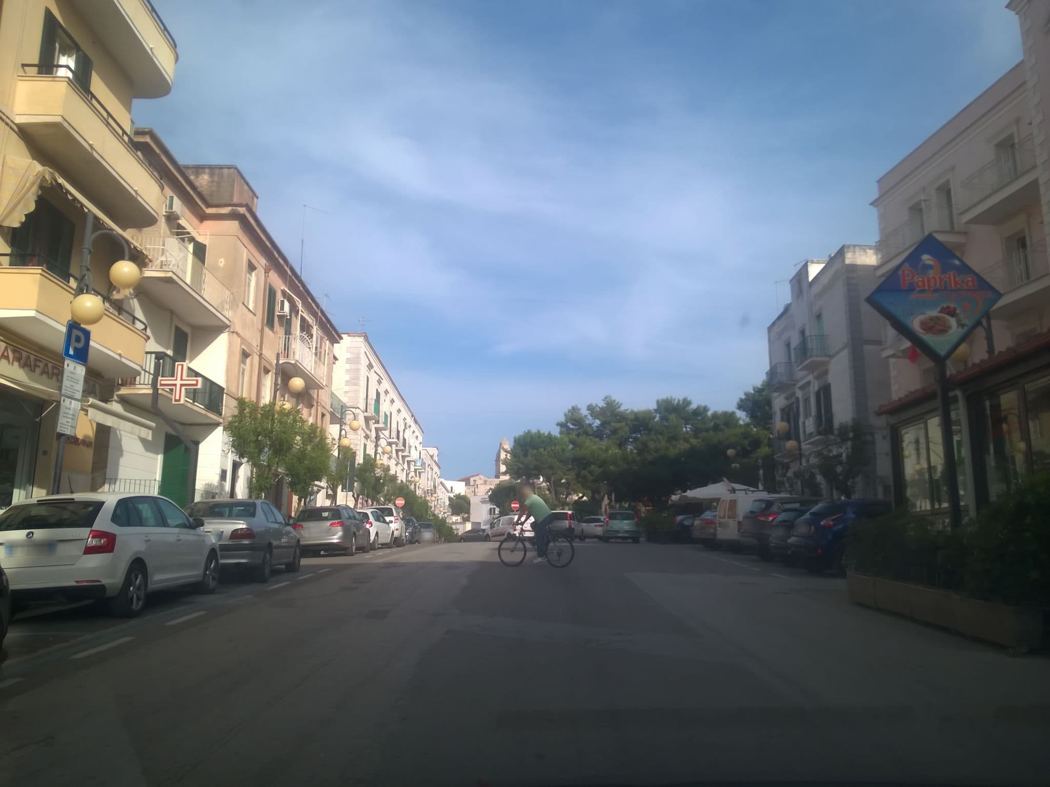 Street view near Palace Hotel Vieste, Vieste — © dcavedon (CC BY-SA · Mapillary)