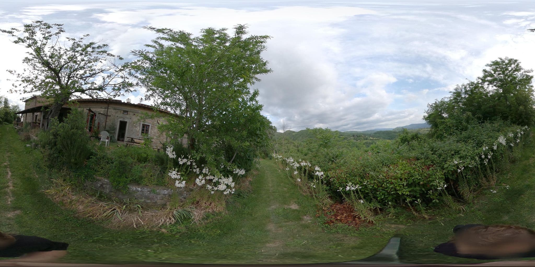 Street view near Tertulia Farm, Vicchio — © skfd (CC BY-SA · Mapillary)