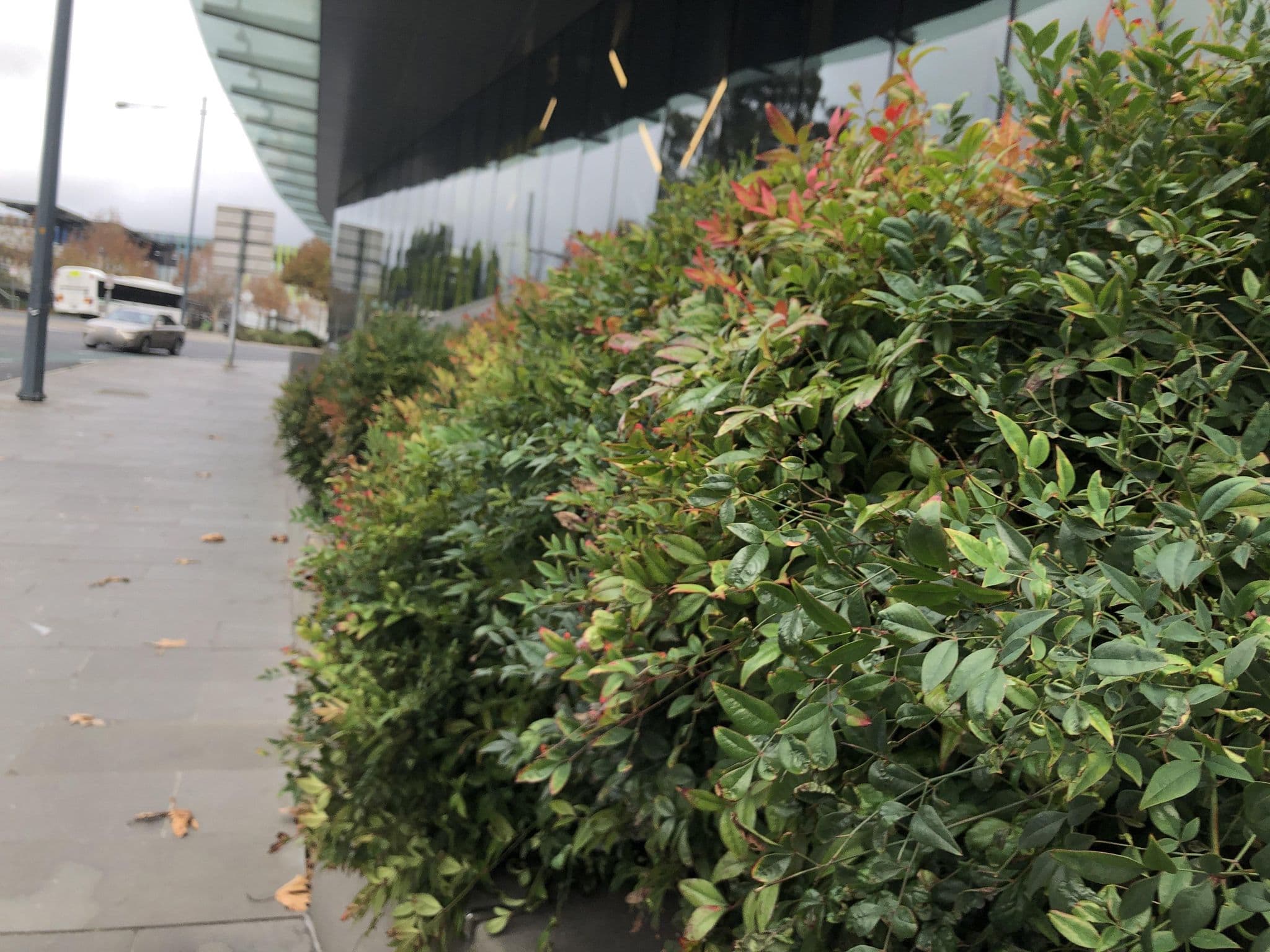 Street view near Sage Hotel, Ringwood — © warrandyte (CC BY-SA · Mapillary)