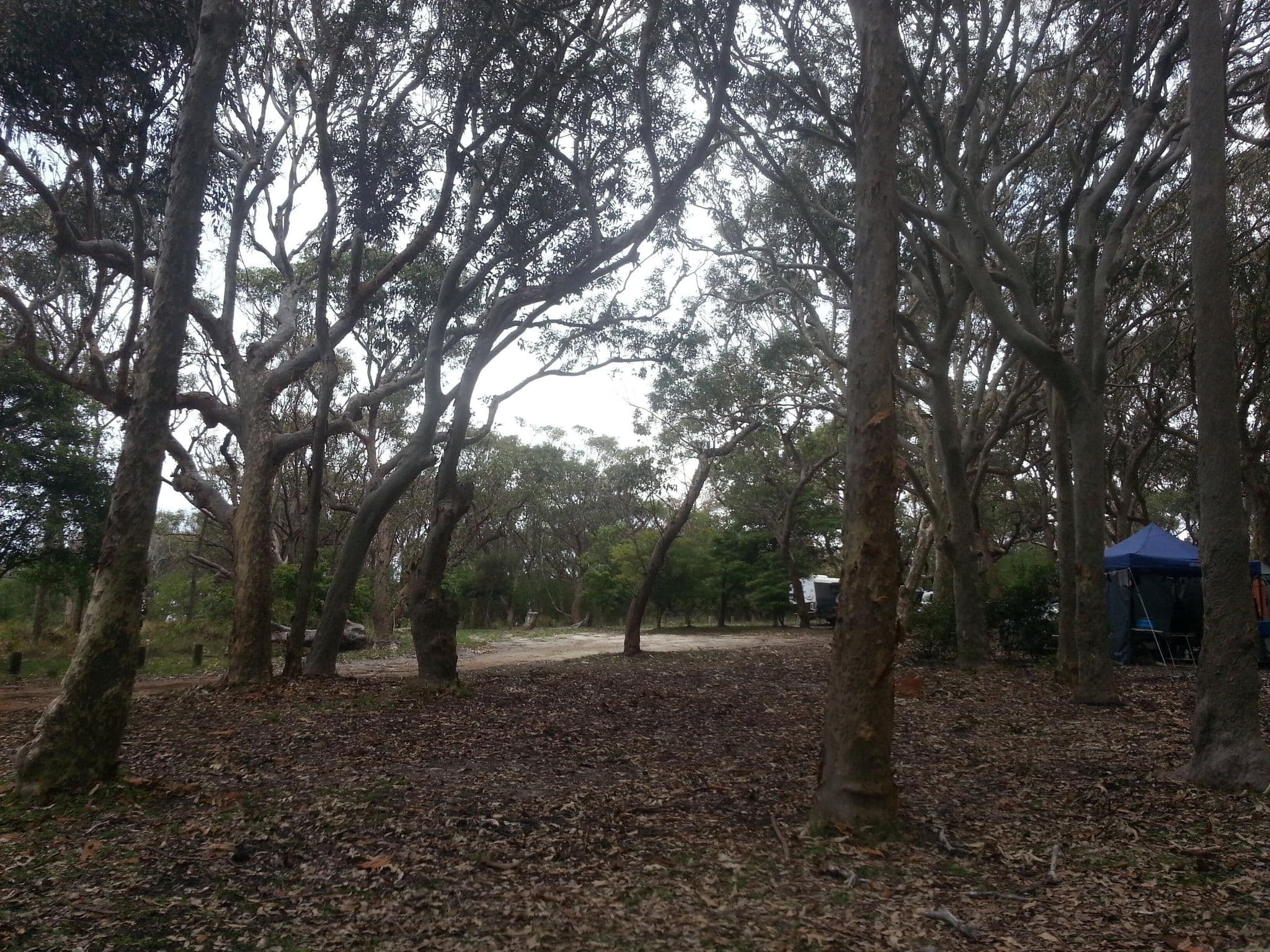 Street view near Brou Lake Campground, Dalmeny — © bob3bob3 (CC BY-SA · Mapillary)