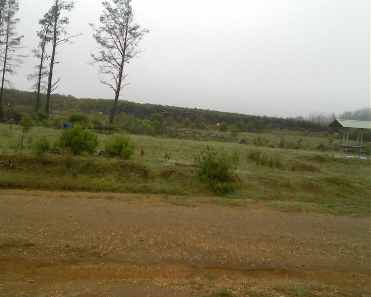 Street view near Wingello State Forest Camping Area, Bundanoon — © bob3bob3 (CC BY-SA · Mapillary)