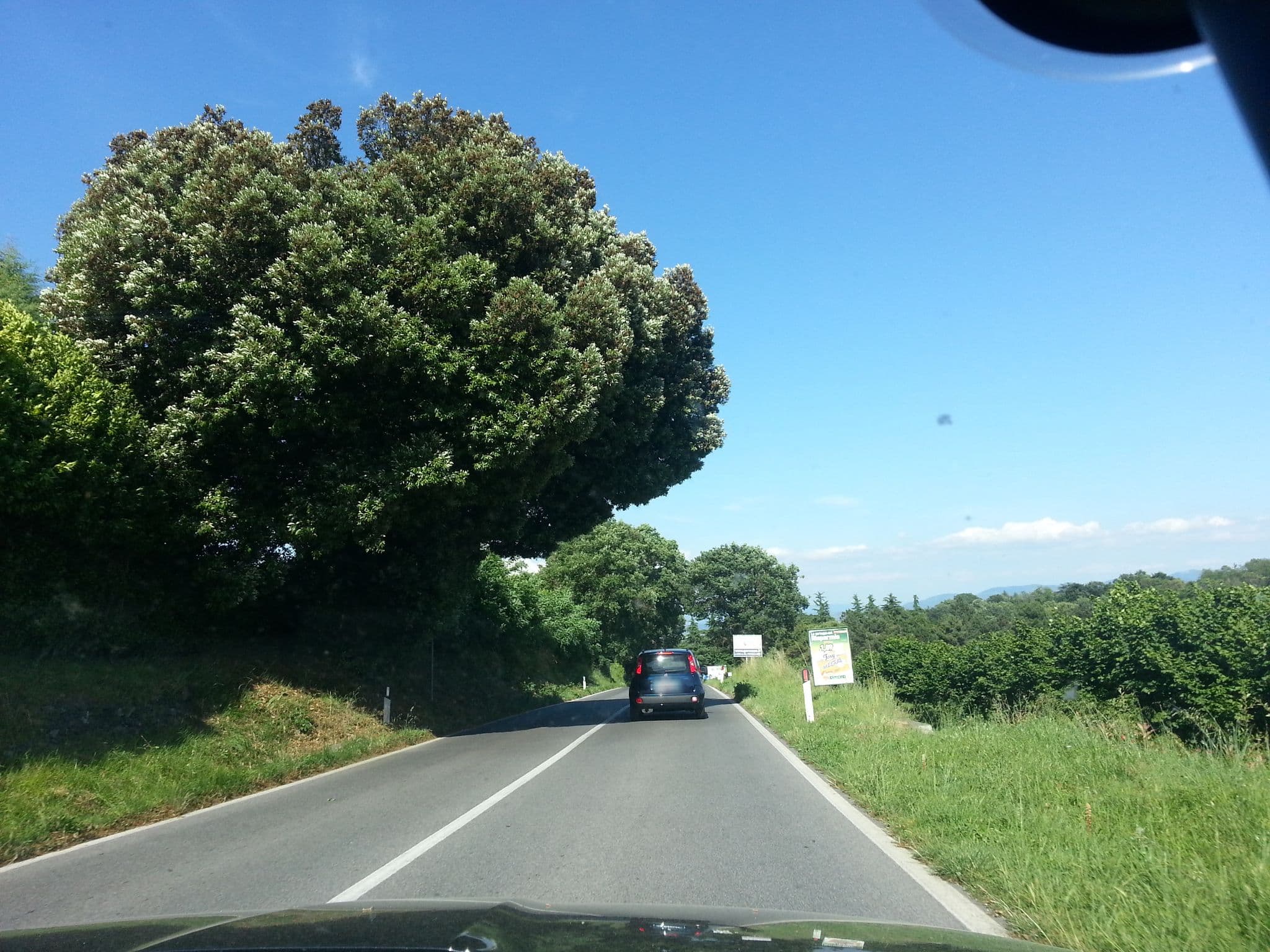 Street view near Locanda Rosati, Porano — © bluescreen (CC BY-SA · Mapillary)
