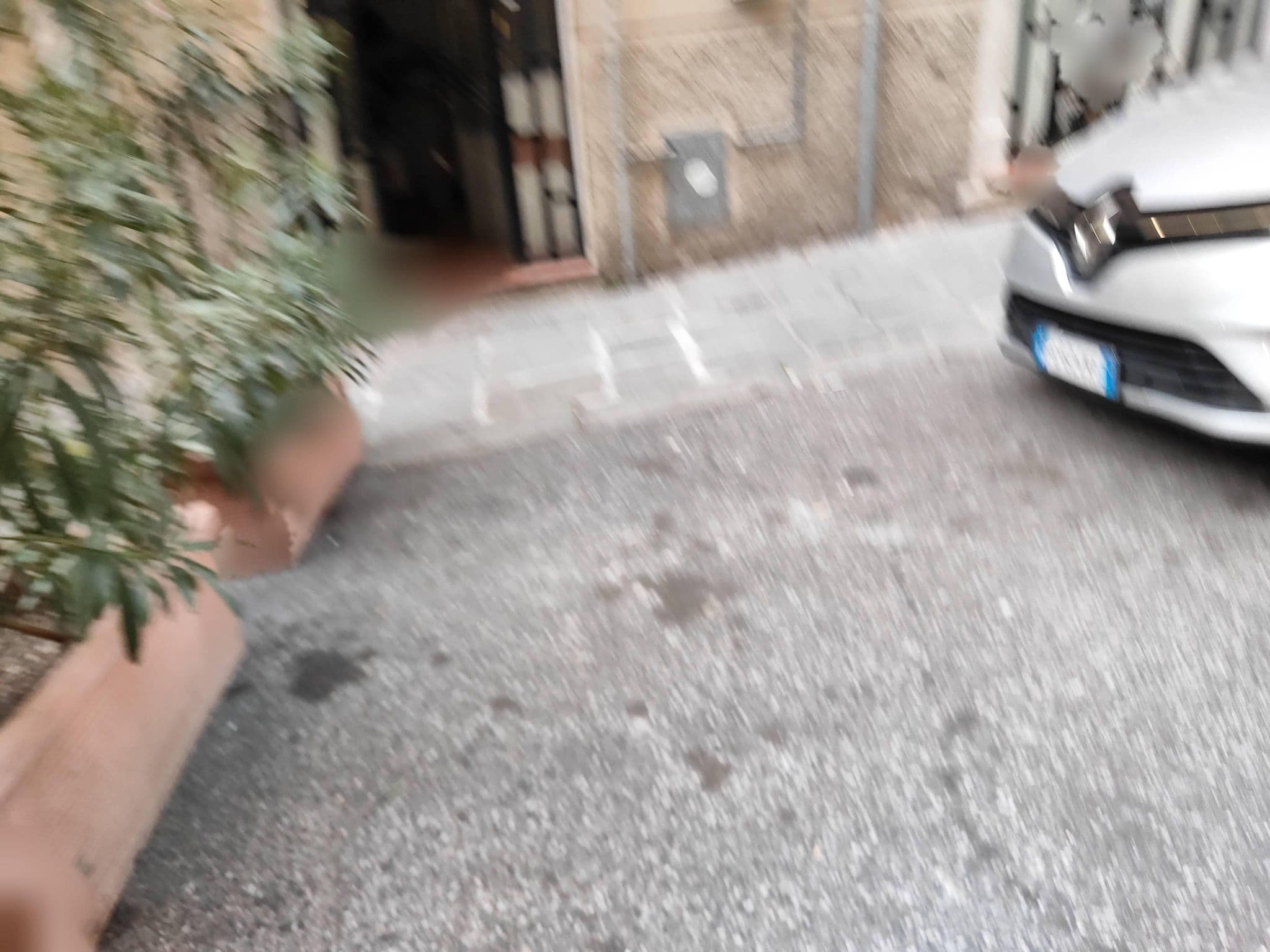 Street view near LA CASA DI MATTIA, La Spezia — © omfg_notpr (CC BY-SA · Mapillary)