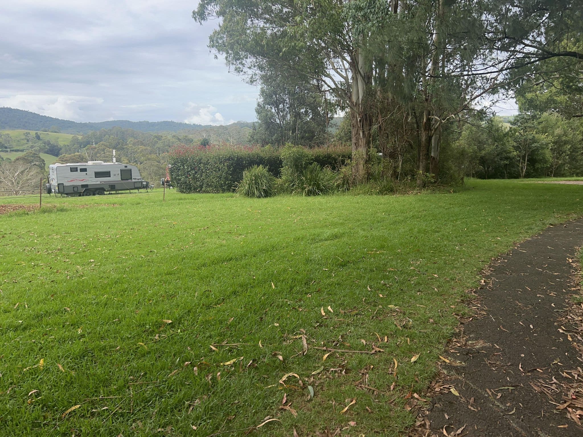 Street view near Dangar Falls Lodge, Dorrigo — © pbee (CC BY-SA · Mapillary)
