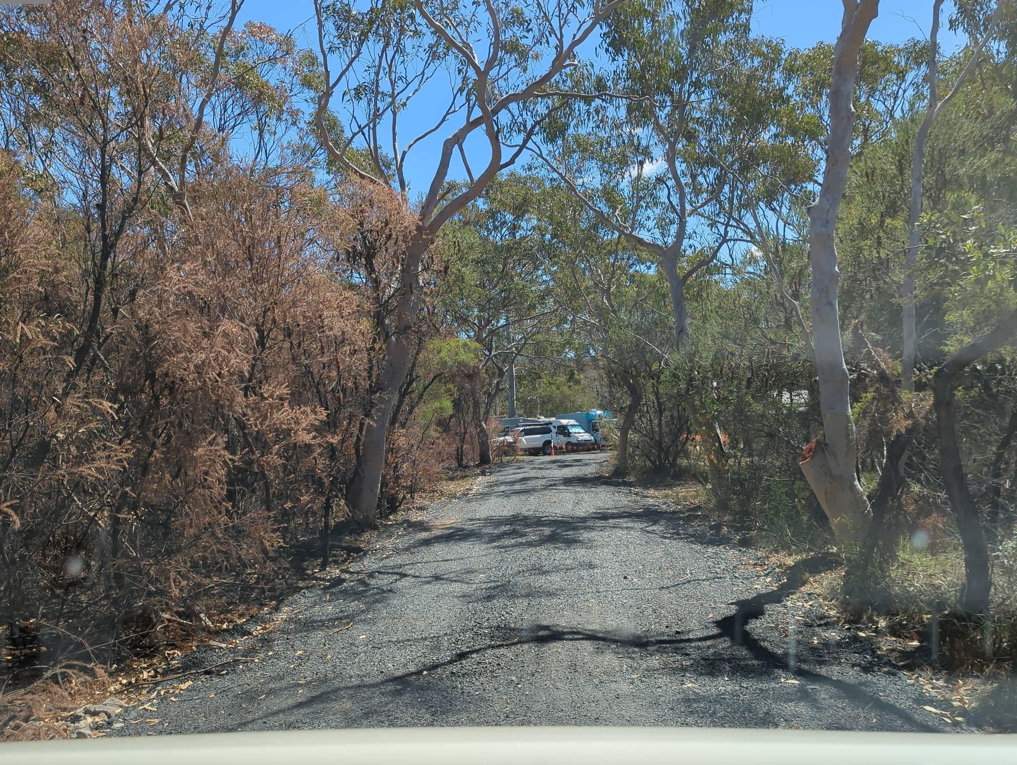 Street view near Scout Camp Kariong, Kariong — © samcarman (CC BY-SA · Mapillary)