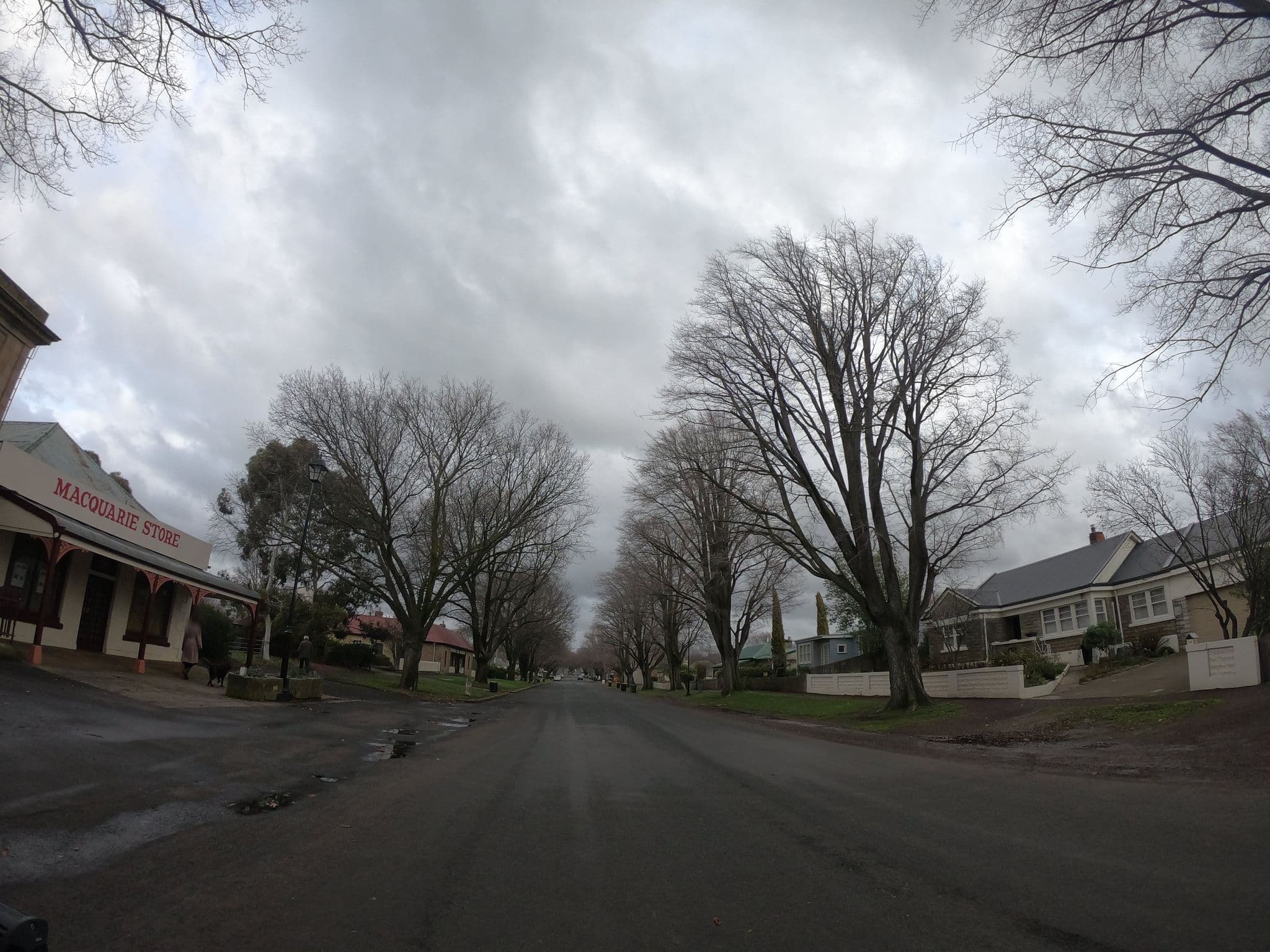 Street view near Ross B & B, Cressy — © tastrax (CC BY-SA · Mapillary)