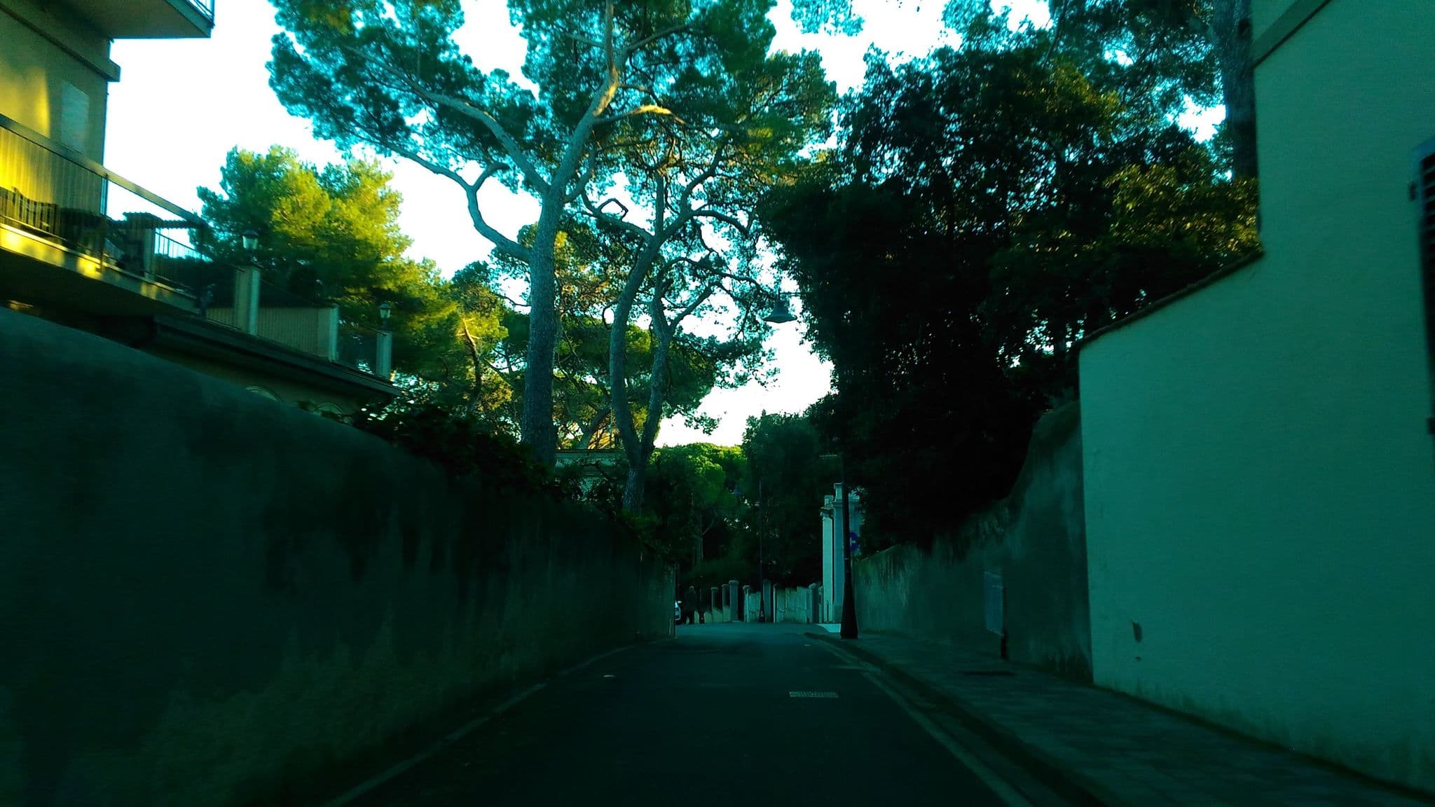 Street view near Atlantico, Rosignano Solvay-Castiglioncello — © momix (CC BY-SA · Mapillary)