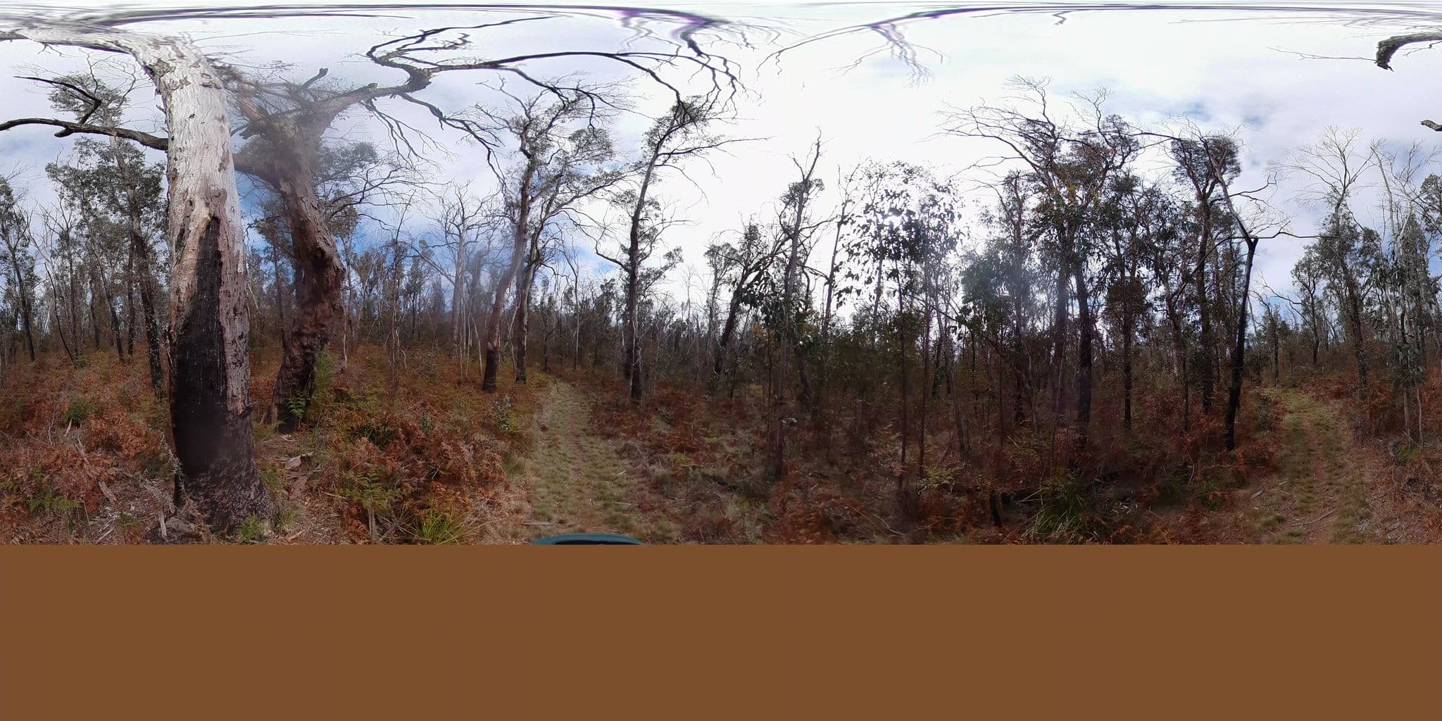 Street view near Mount Werong Campground, Oberon — © Wattle (CC BY-SA · Mapillary)